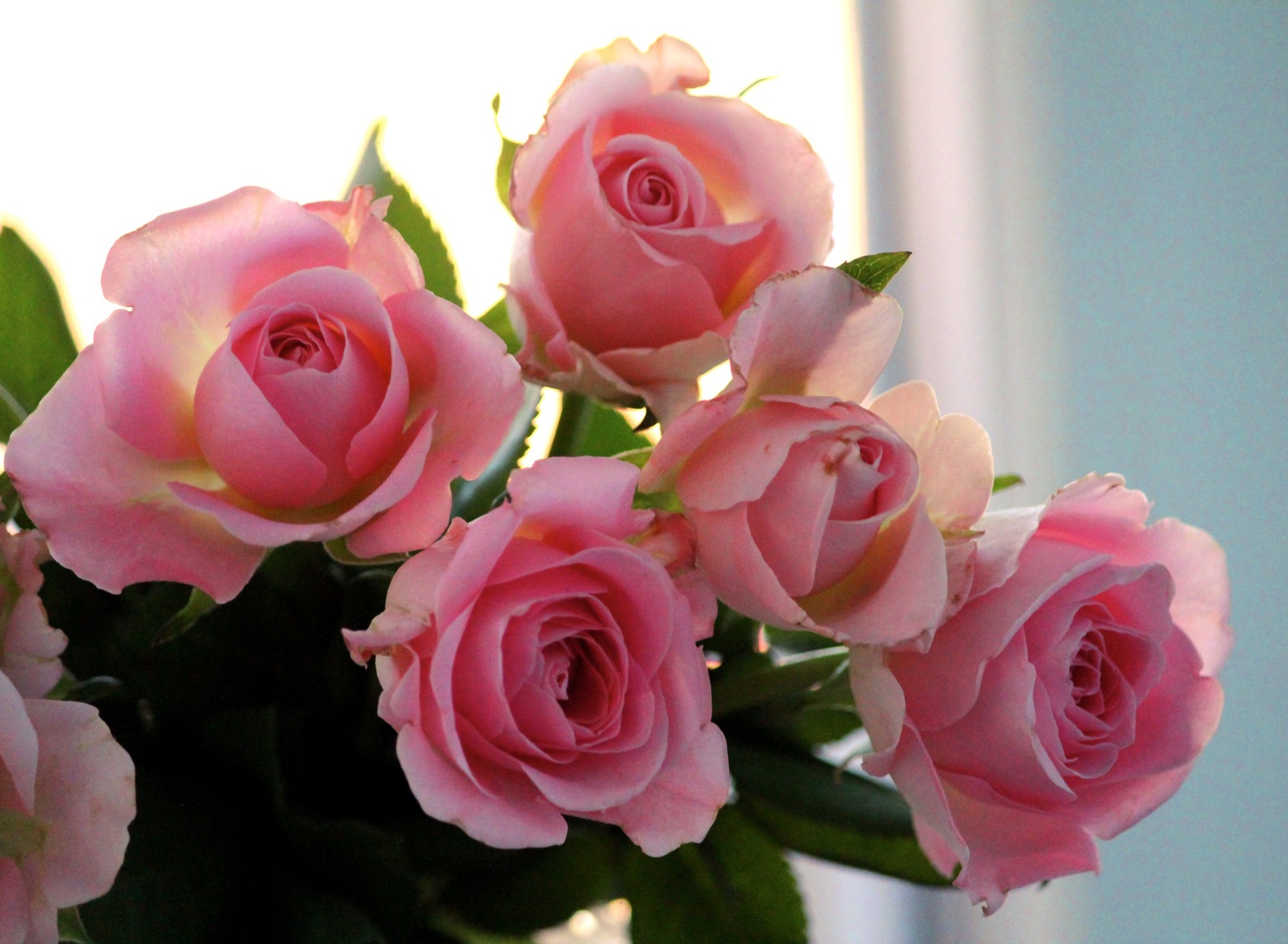 Иллюстрация к публикации