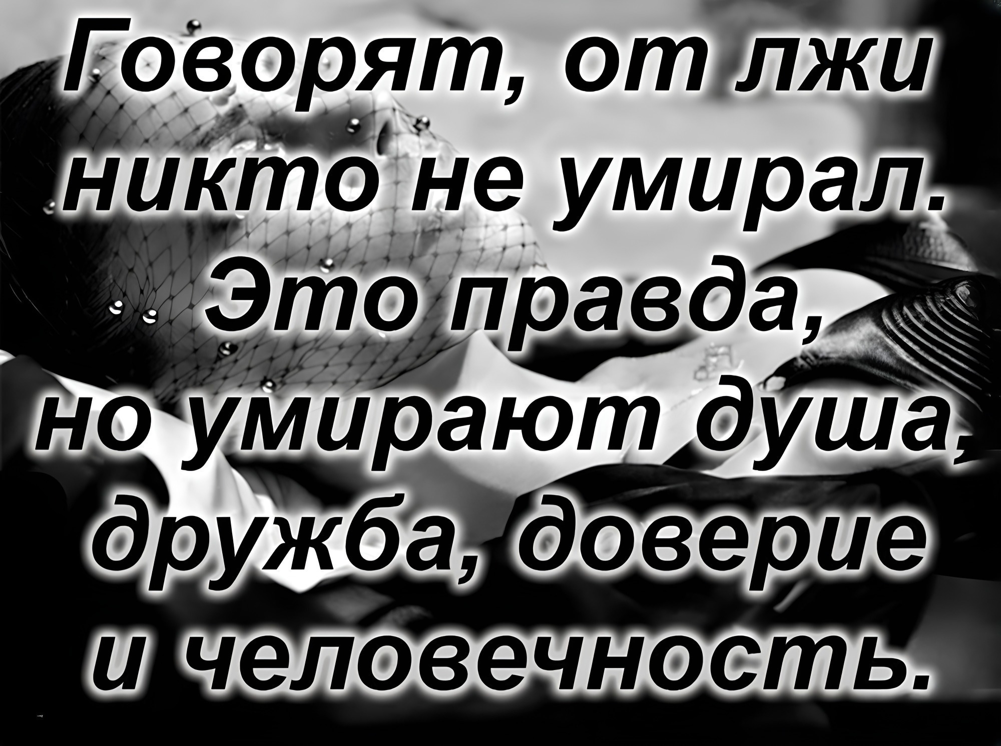 Иллюстрация к публикации