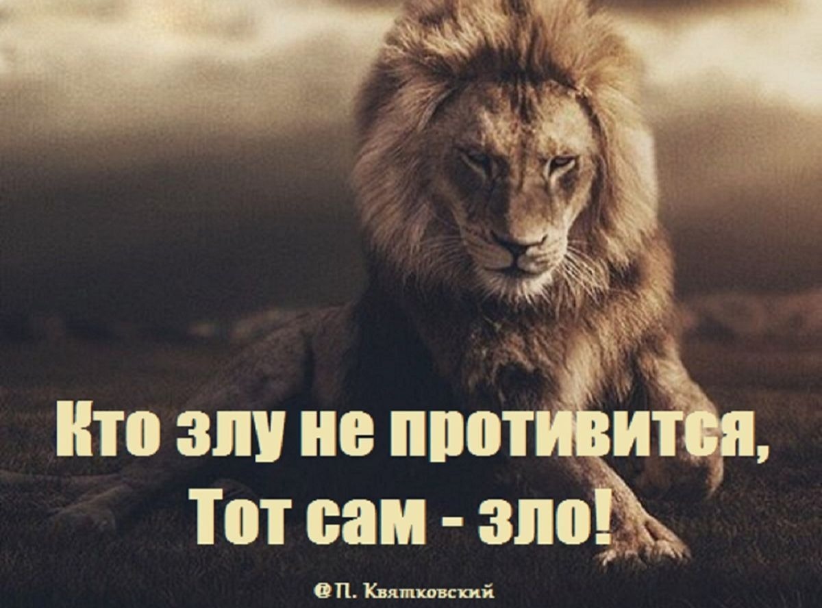 Иллюстрация к публикации