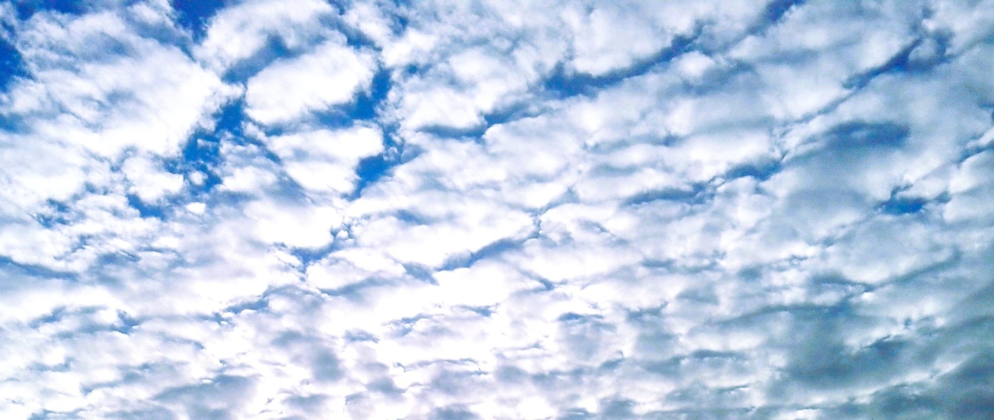 Иллюстрация к публикации