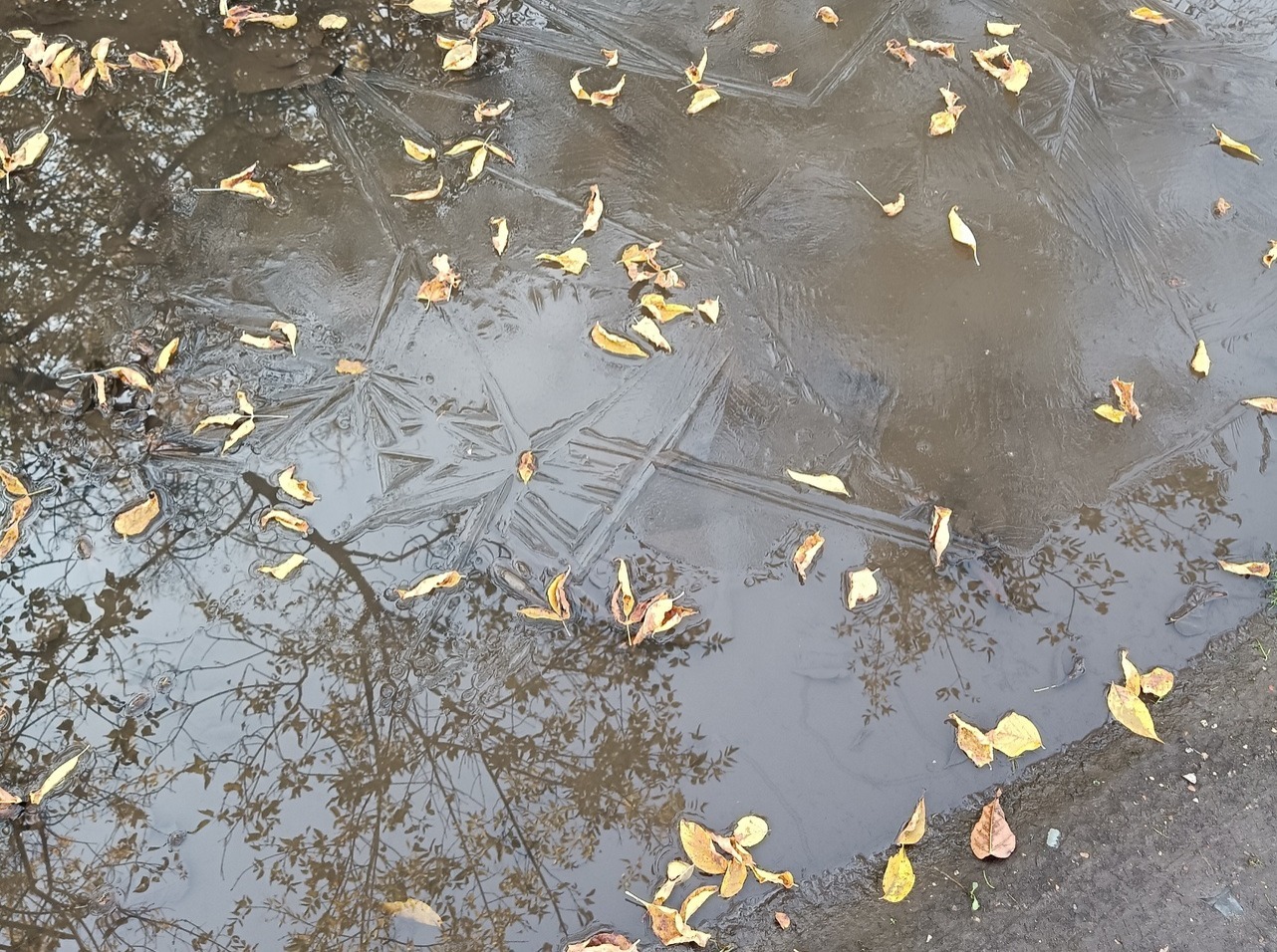 Иллюстрация к публикации