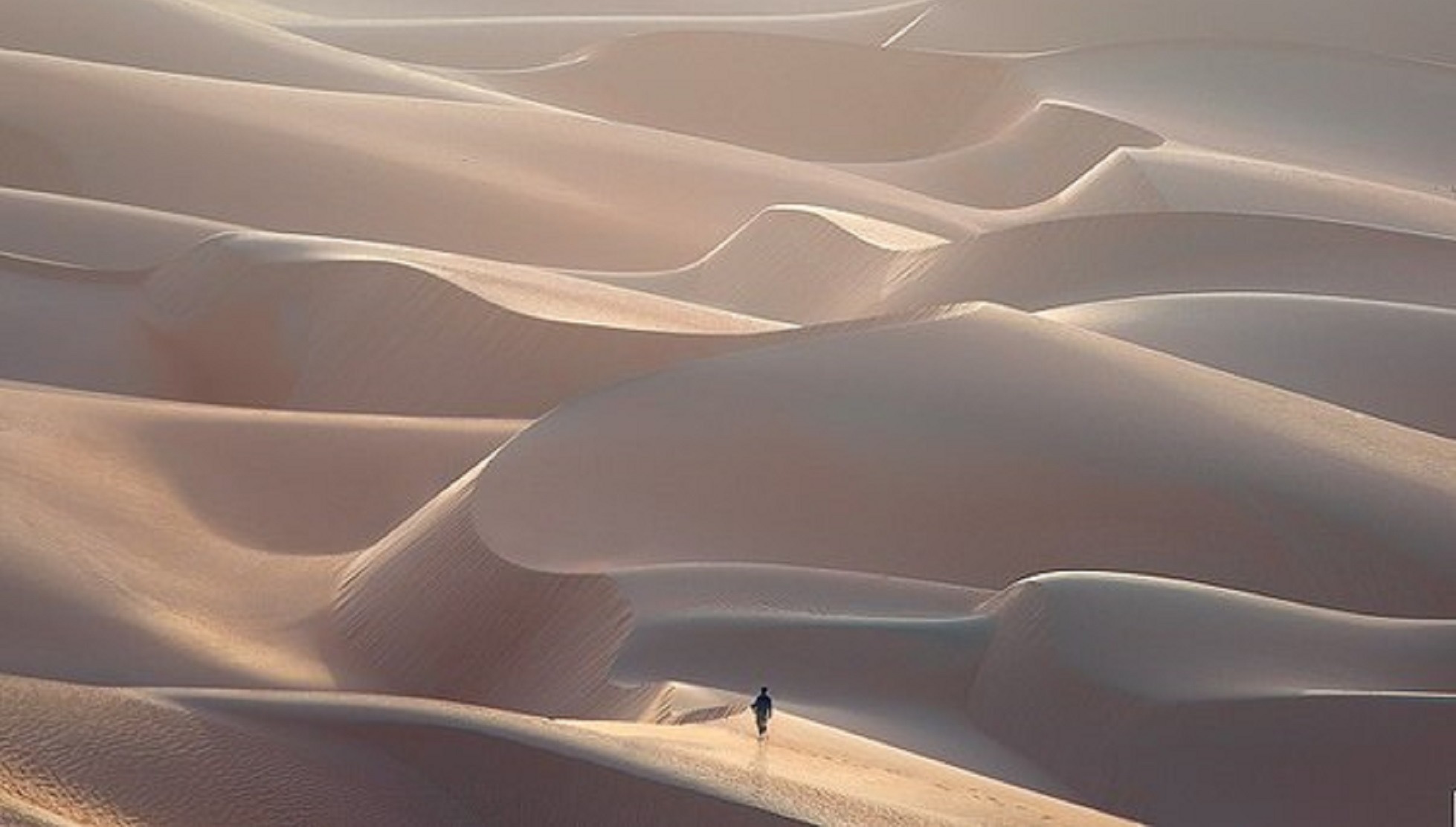 Иллюстрация к публикации