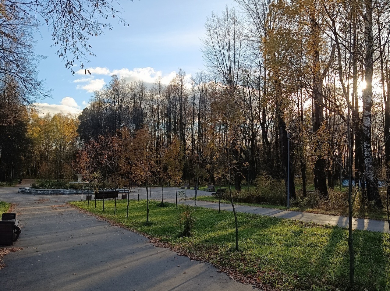 Иллюстрация к публикации