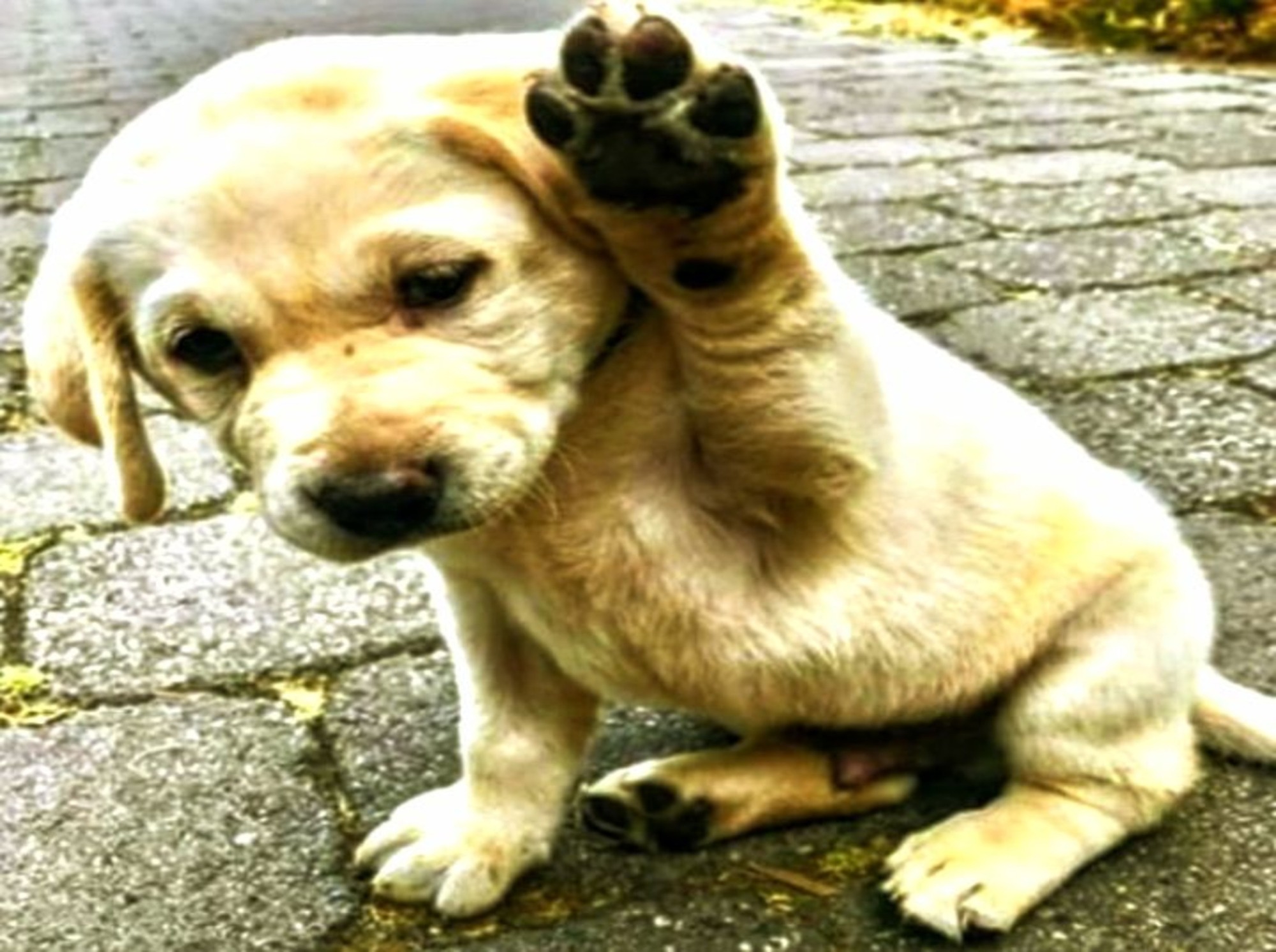 Иллюстрация к публикации