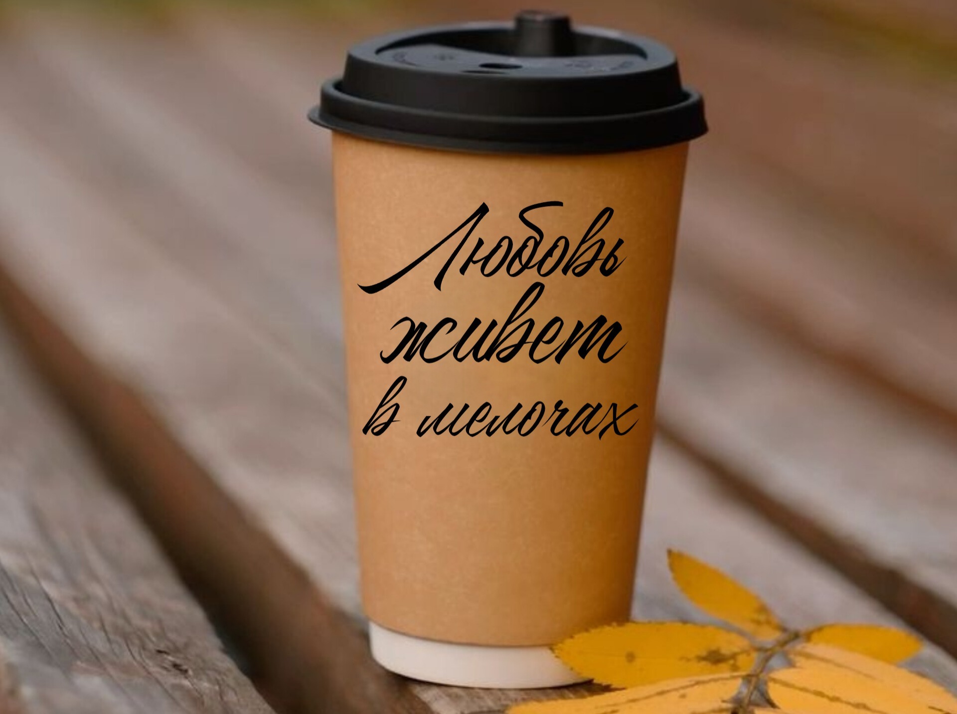 Иллюстрация к публикации