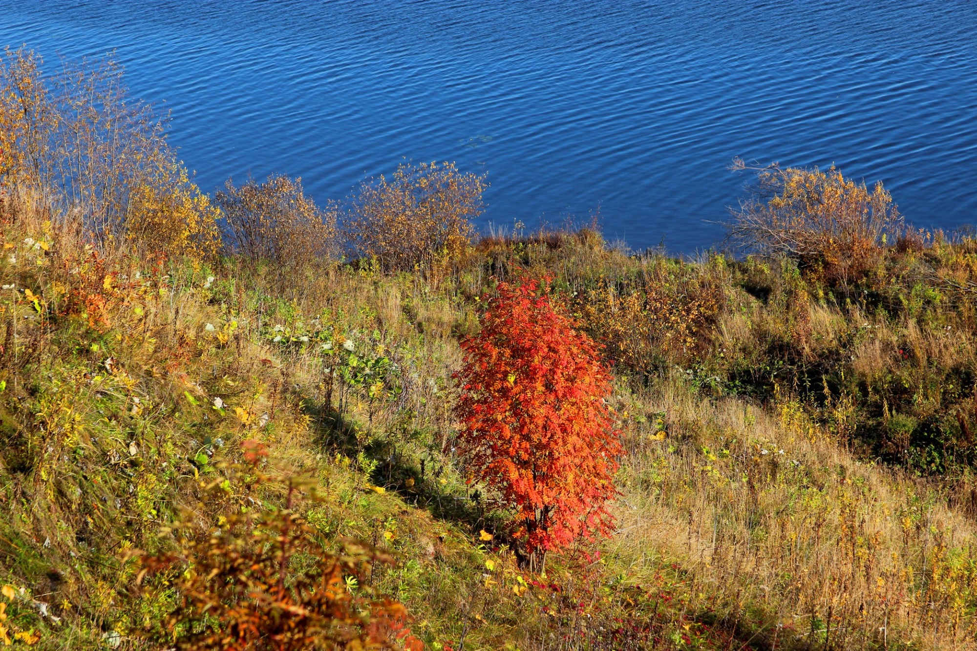 Иллюстрация к публикации