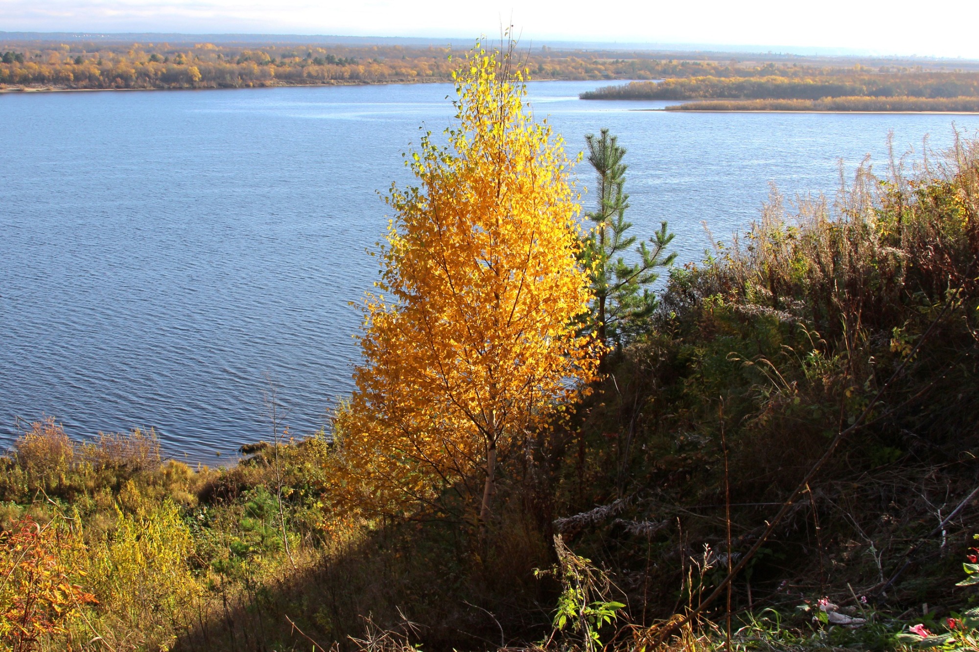 Иллюстрация к публикации