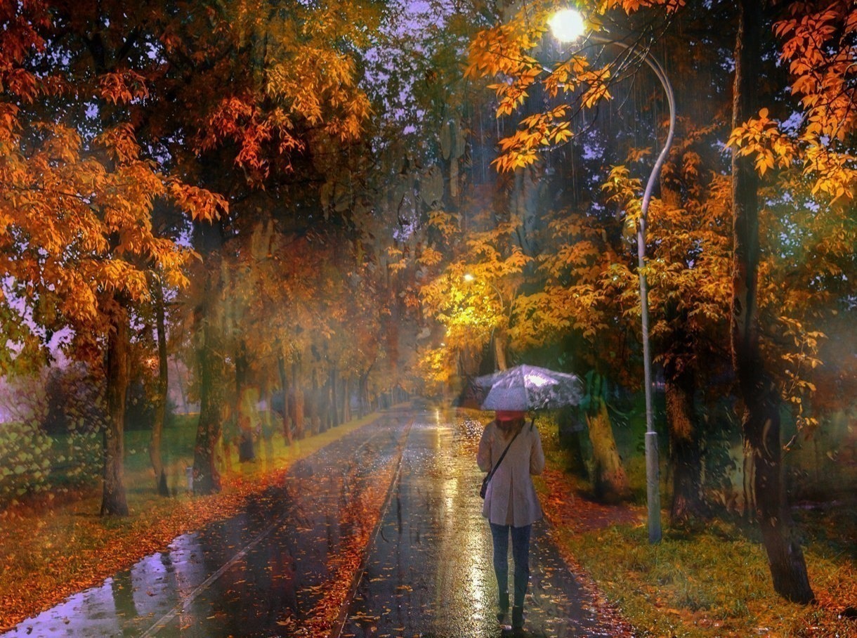 Иллюстрация к публикации