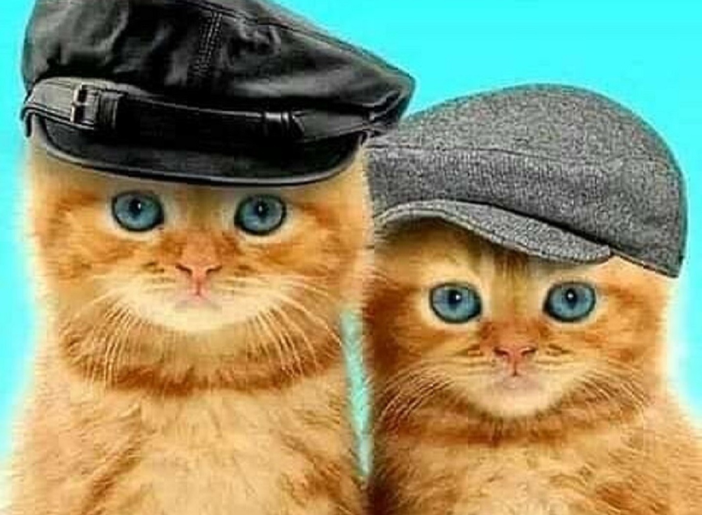 Иллюстрация к публикации