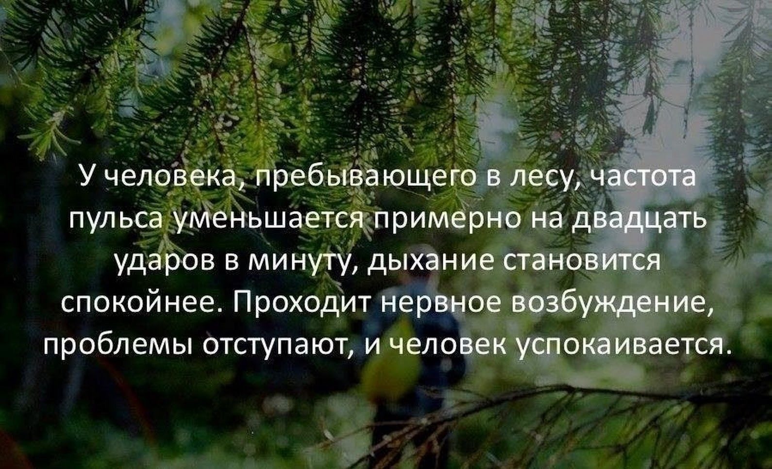 Иллюстрация к публикации