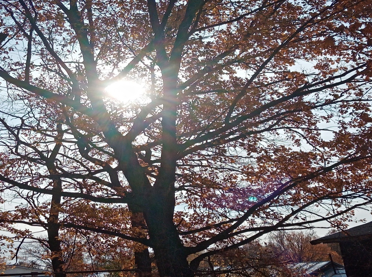 Иллюстрация к публикации