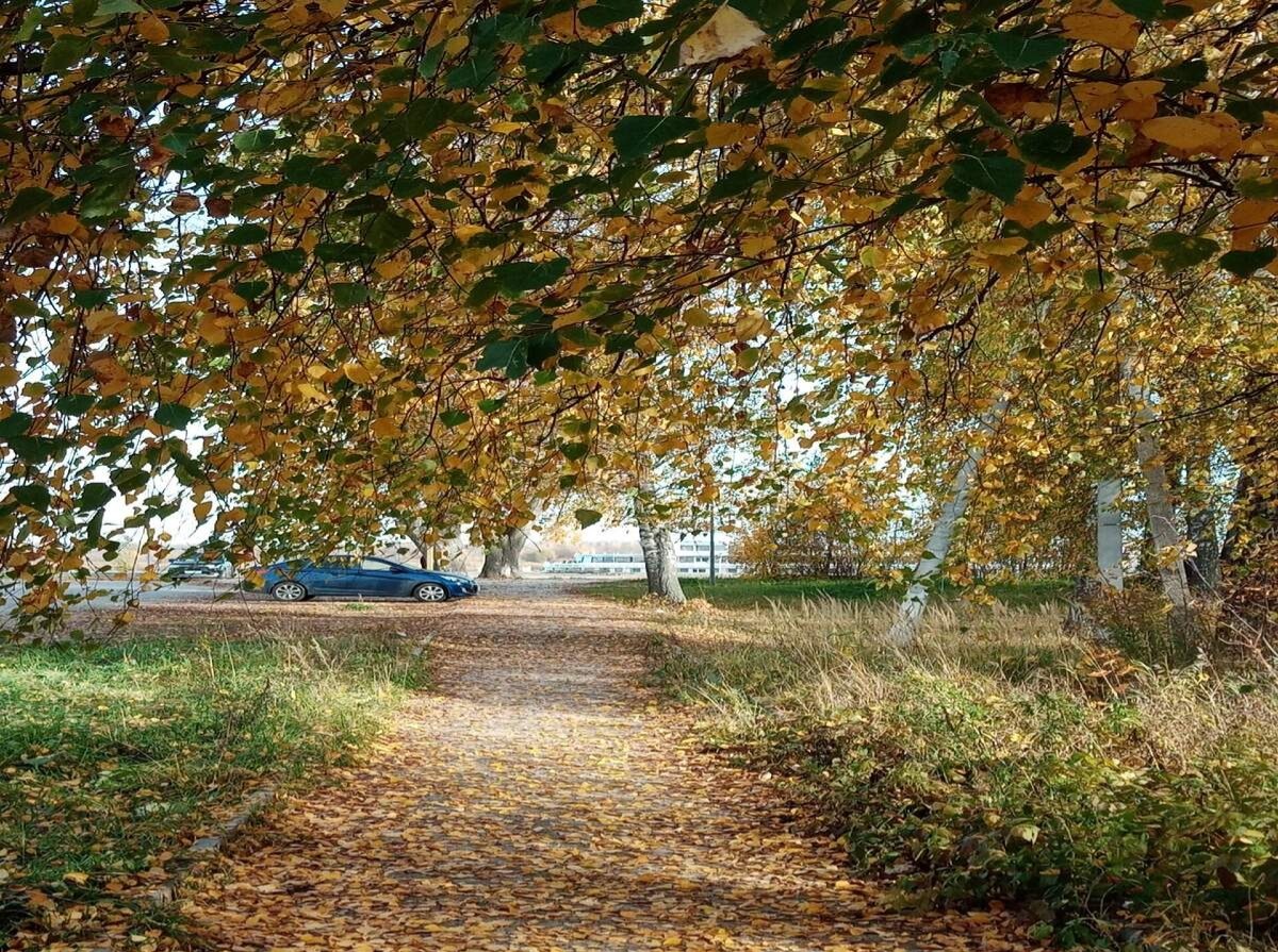 Иллюстрация к публикации