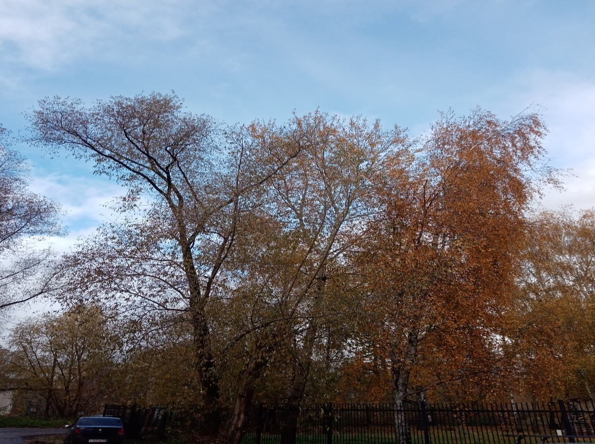 Иллюстрация к публикации