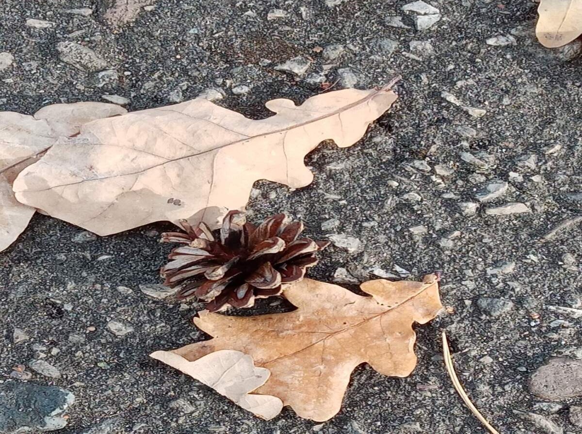 Иллюстрация к публикации