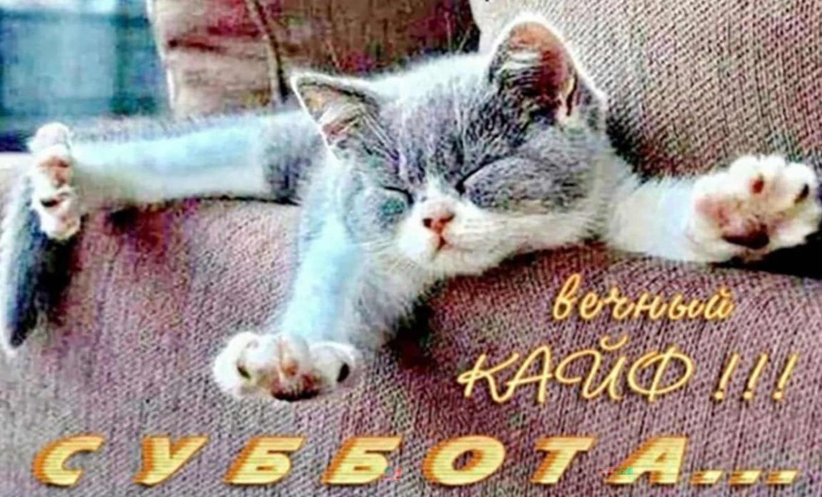 Иллюстрация к публикации