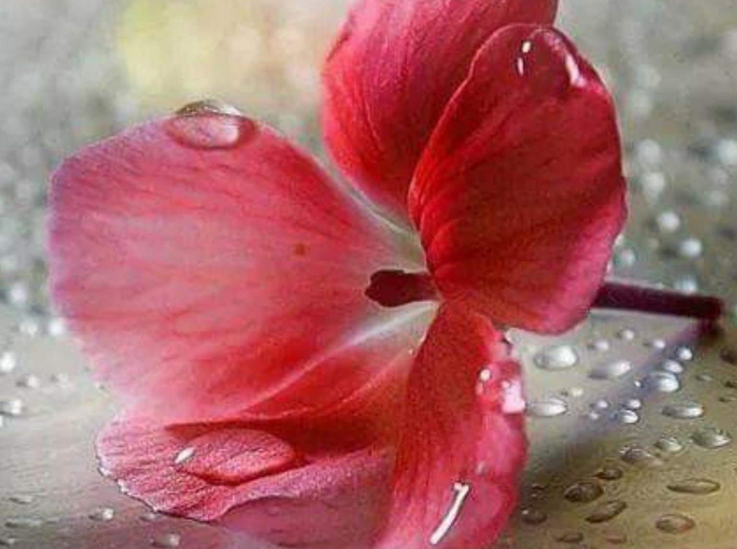 Иллюстрация к публикации