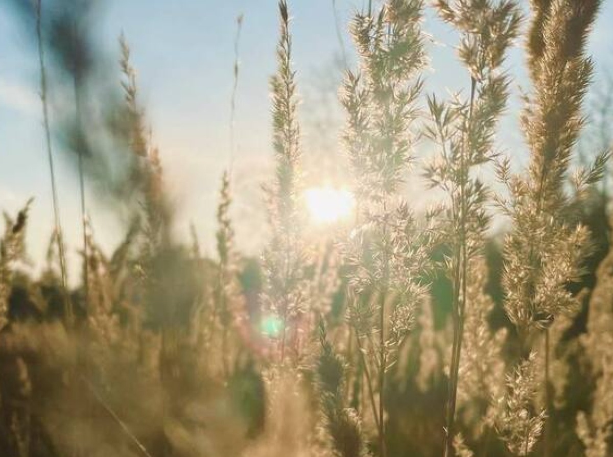 Иллюстрация к публикации