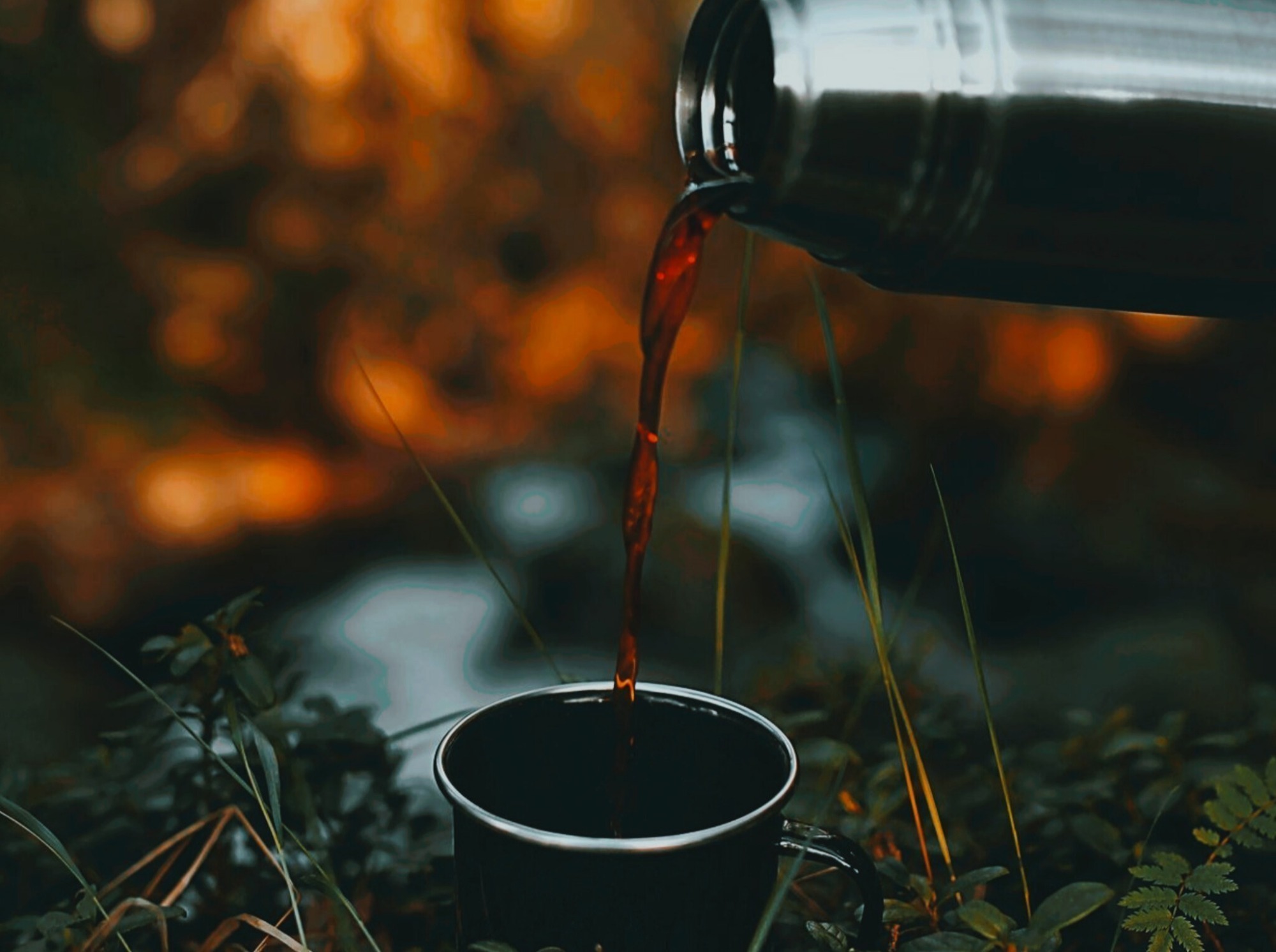 Иллюстрация к публикации