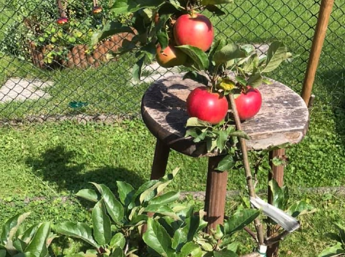 Иллюстрация к публикации