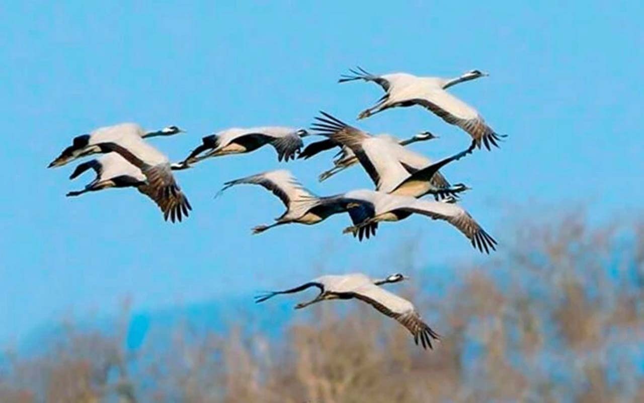 Иллюстрация к публикации