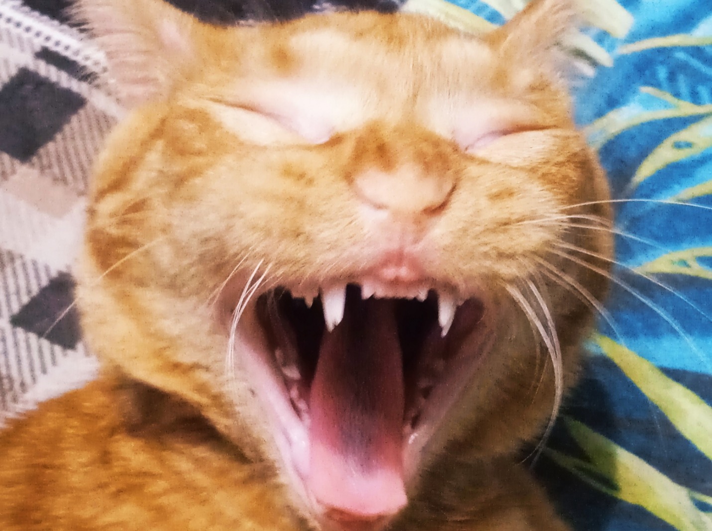 Иллюстрация к публикации