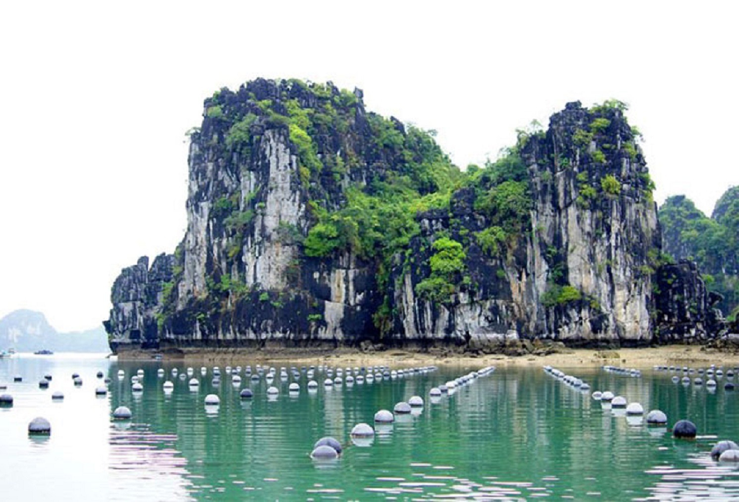 Иллюстрация к публикации