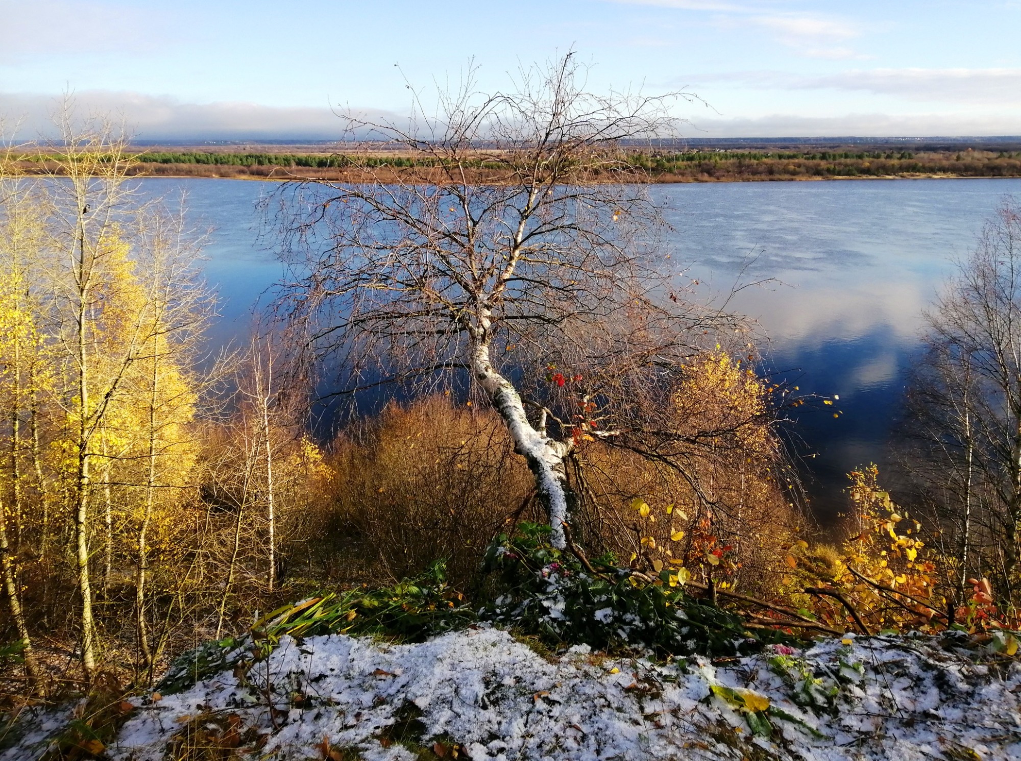 Иллюстрация к публикации