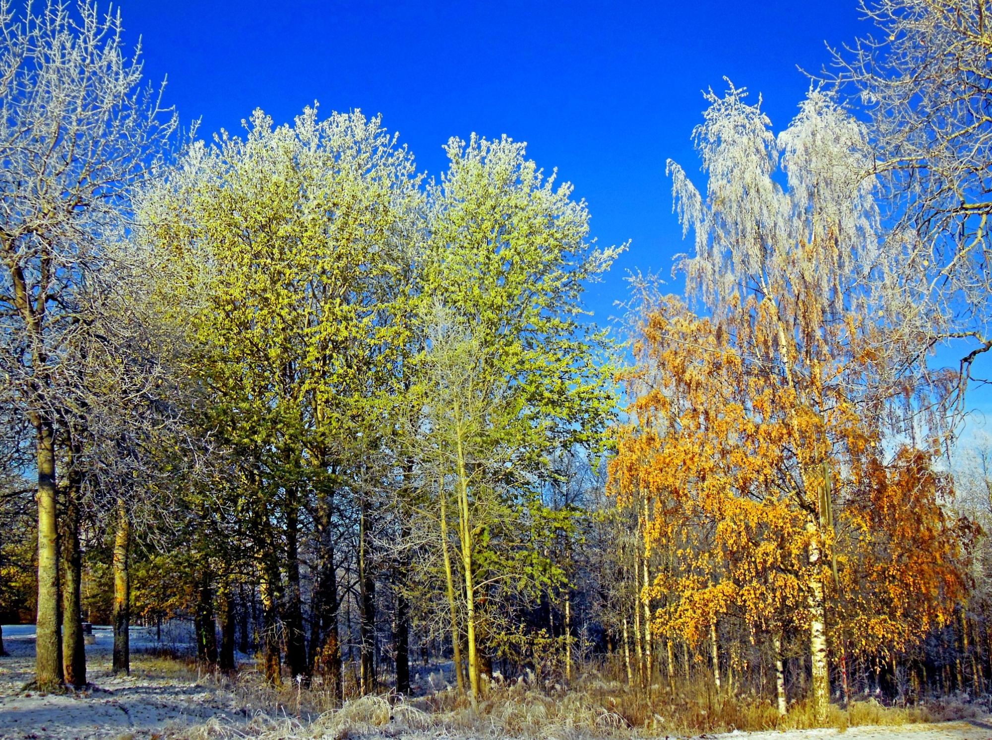 Иллюстрация к публикации