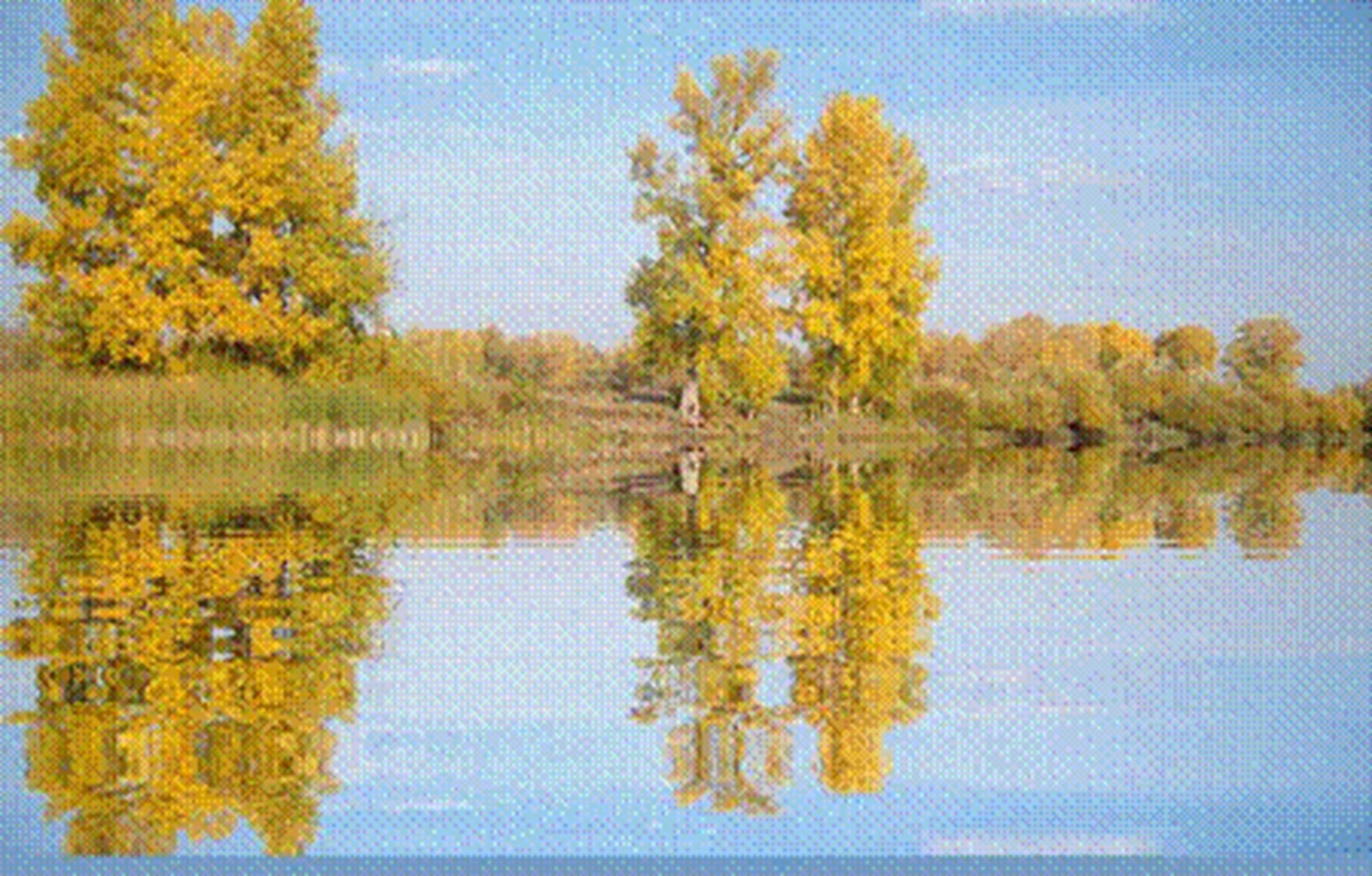 Иллюстрация к публикации