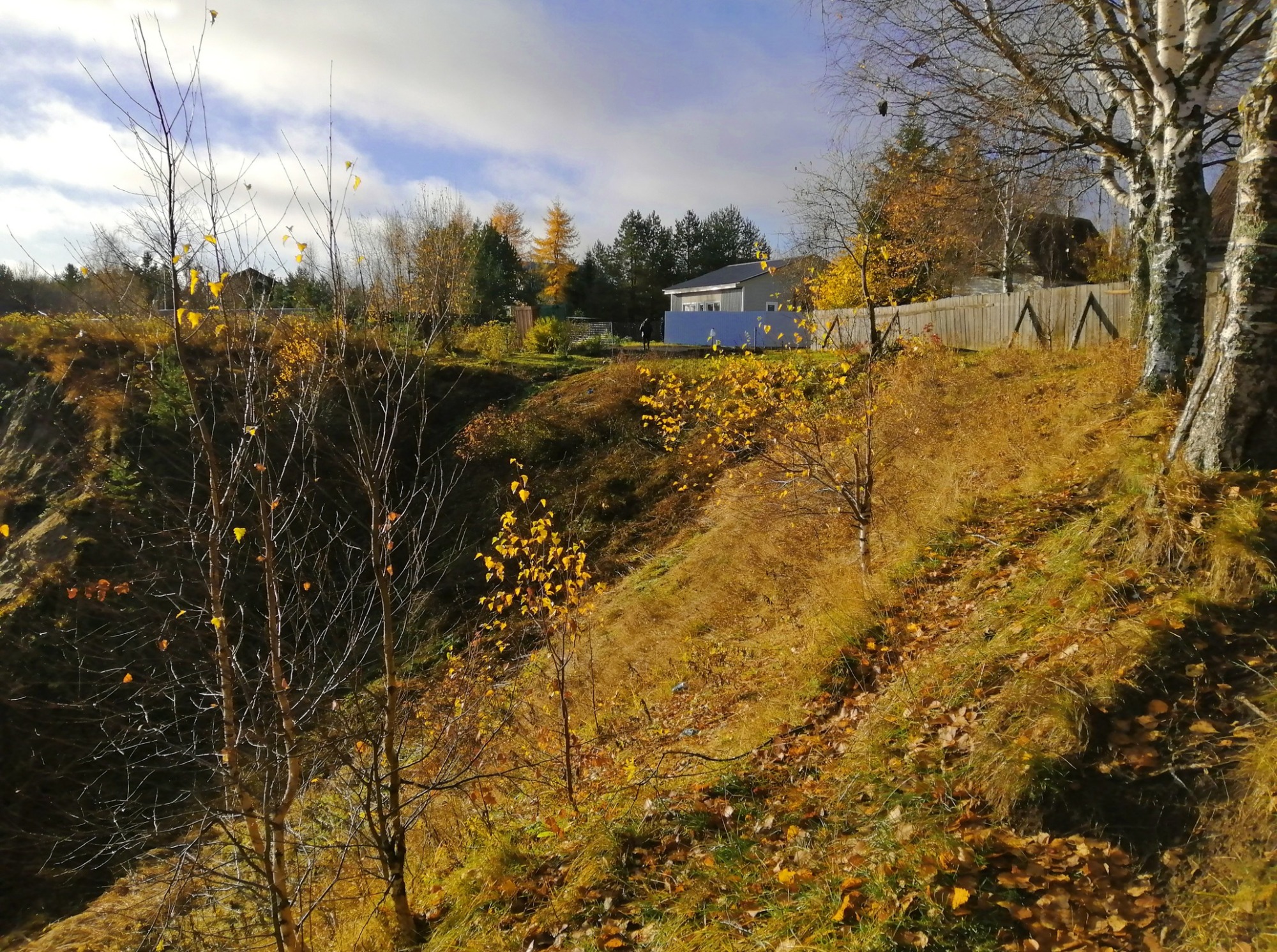 Иллюстрация к публикации