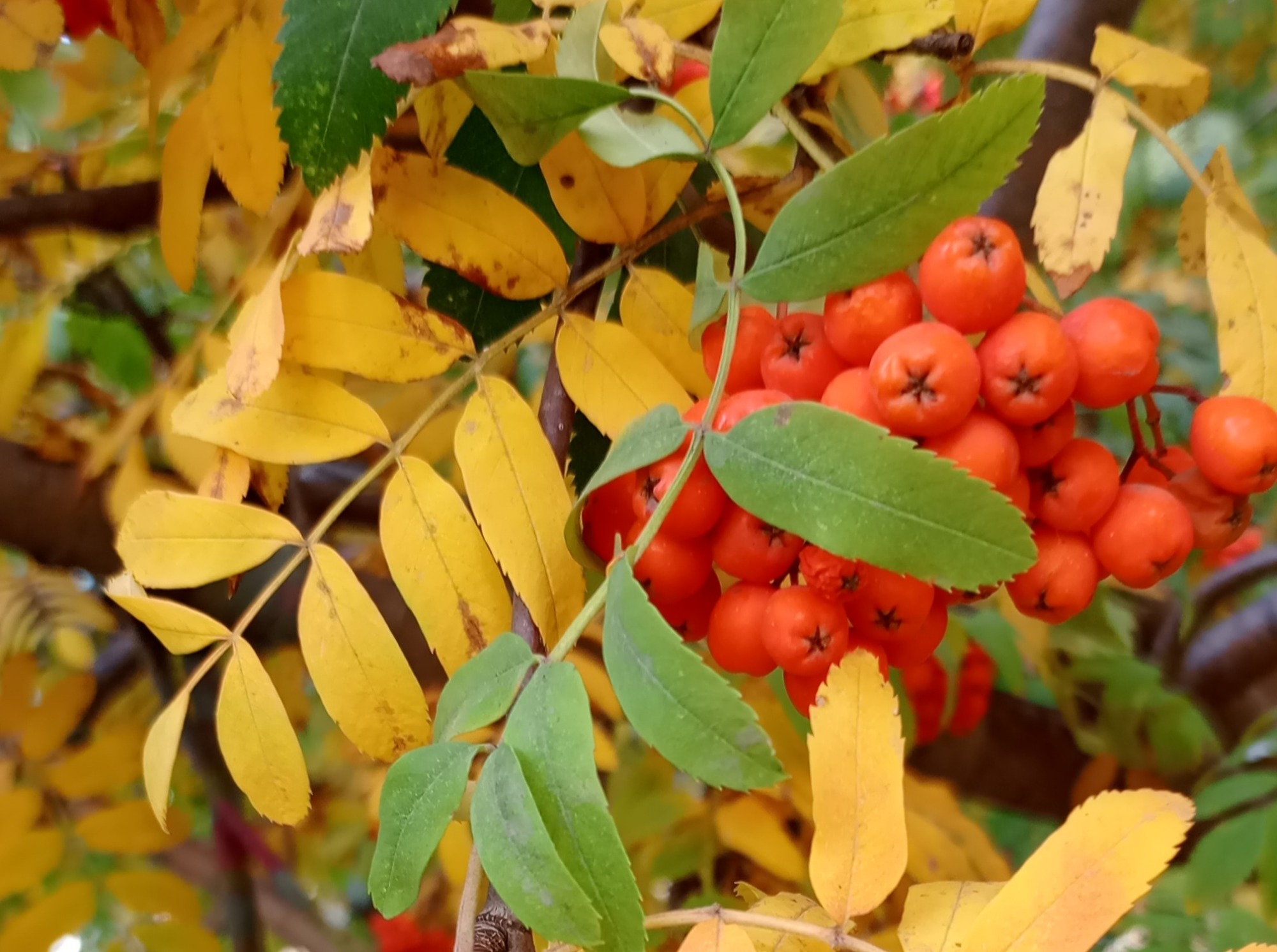 Иллюстрация к публикации