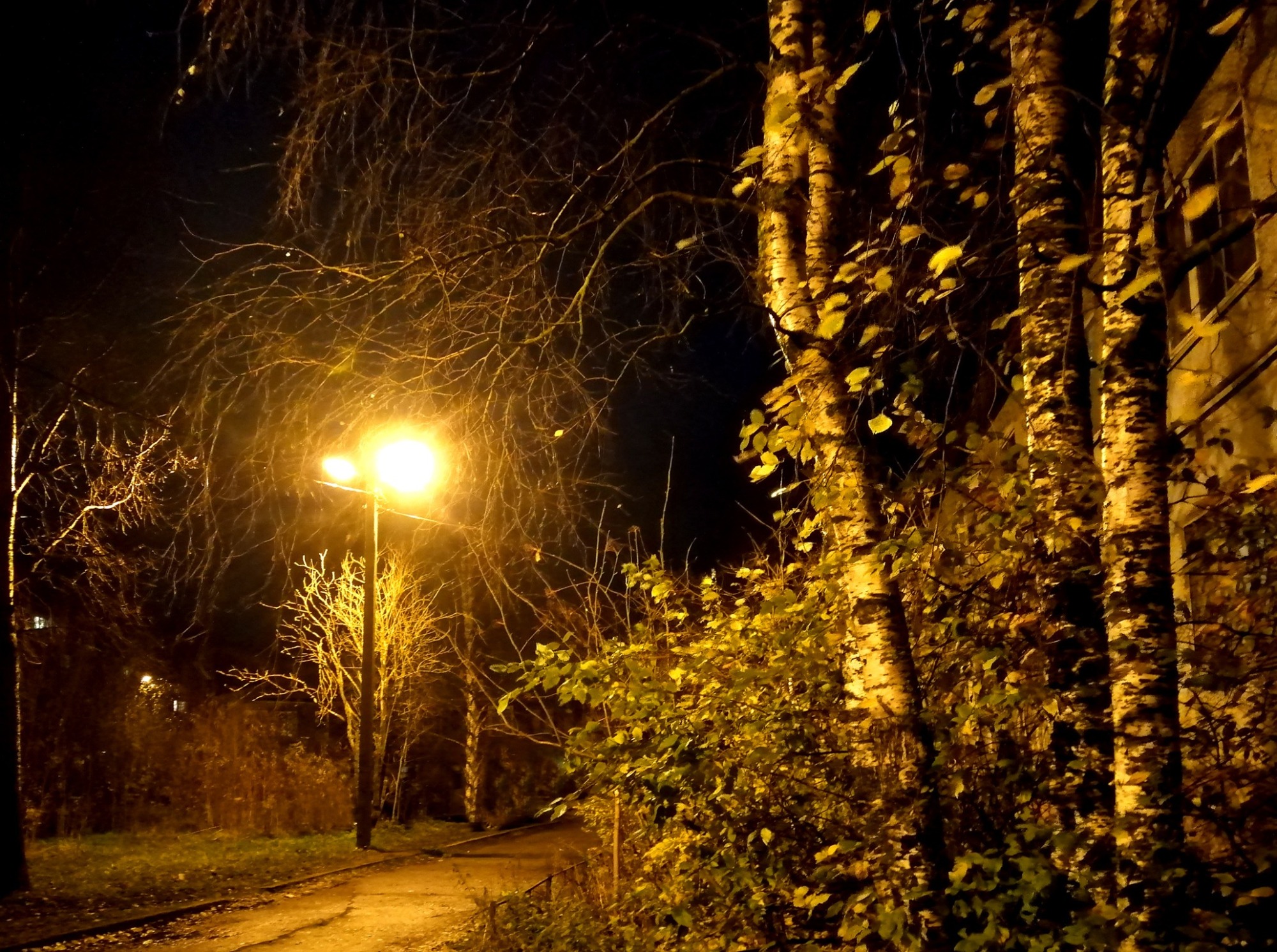 Иллюстрация к публикации