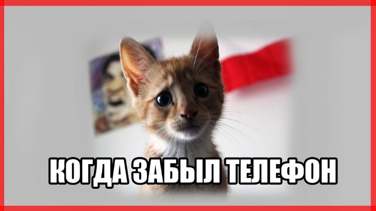 Иллюстрация к публикации