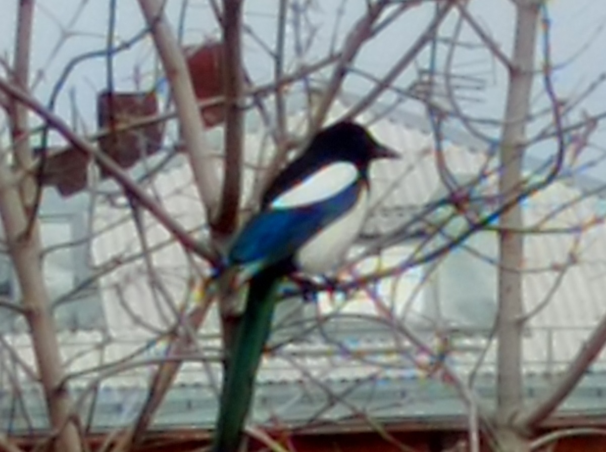 Иллюстрация к публикации