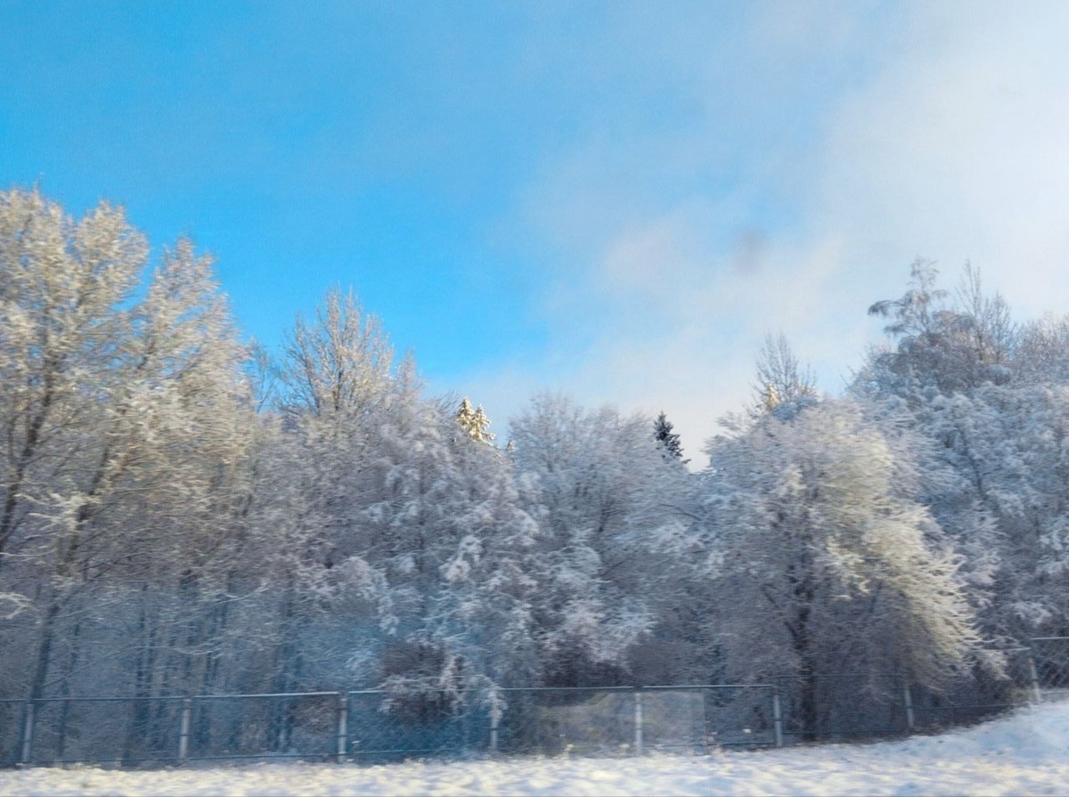 Иллюстрация к публикации