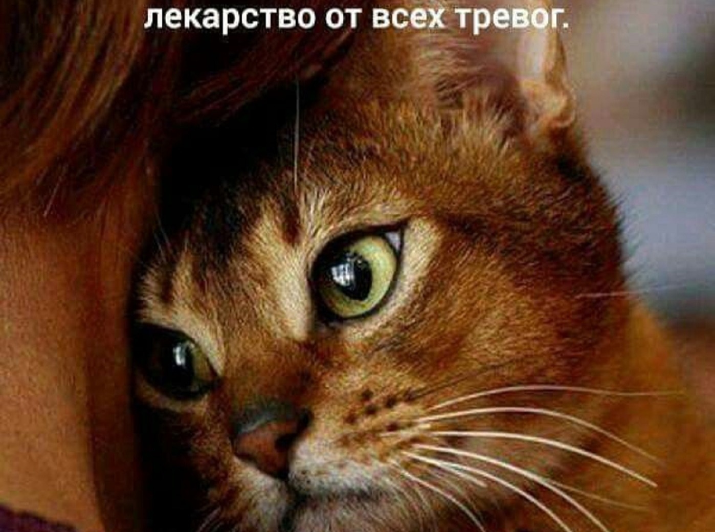 Иллюстрация к публикации