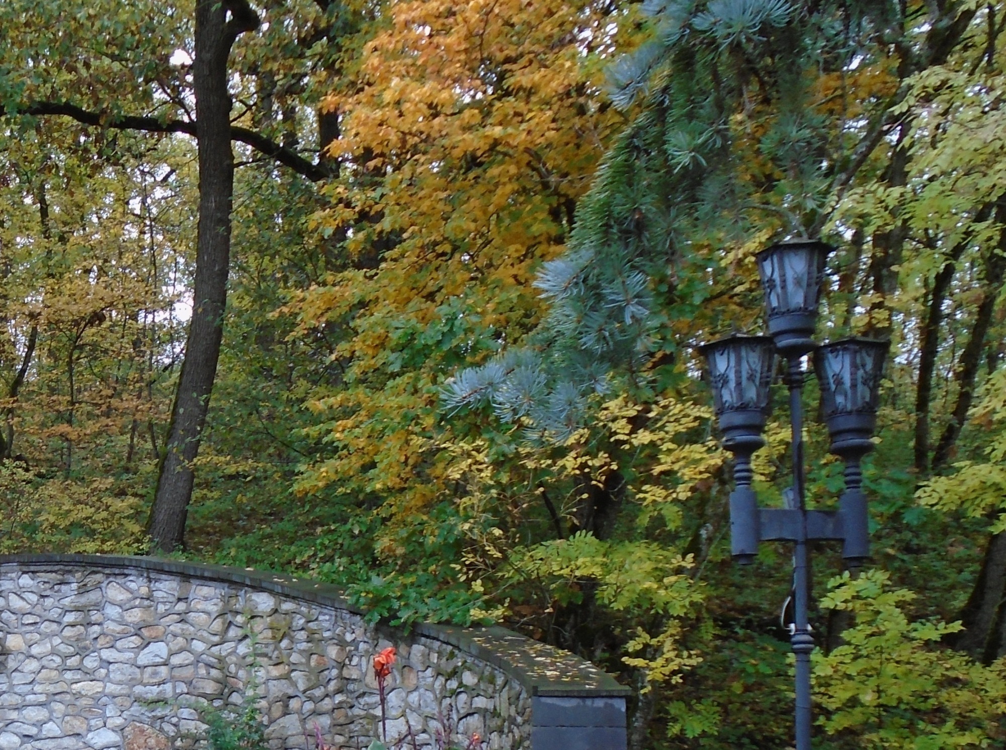 Иллюстрация к публикации