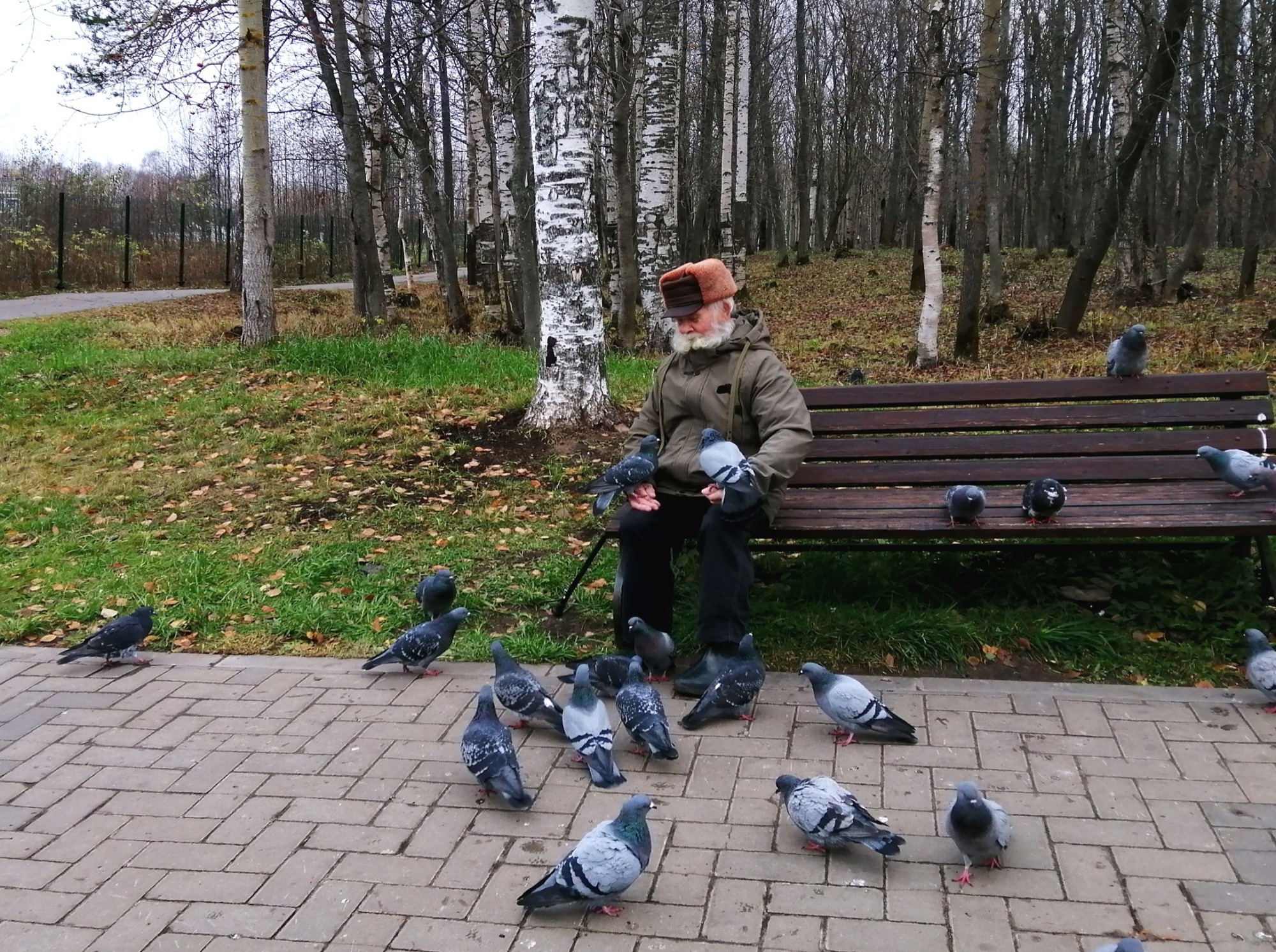 Иллюстрация к публикации