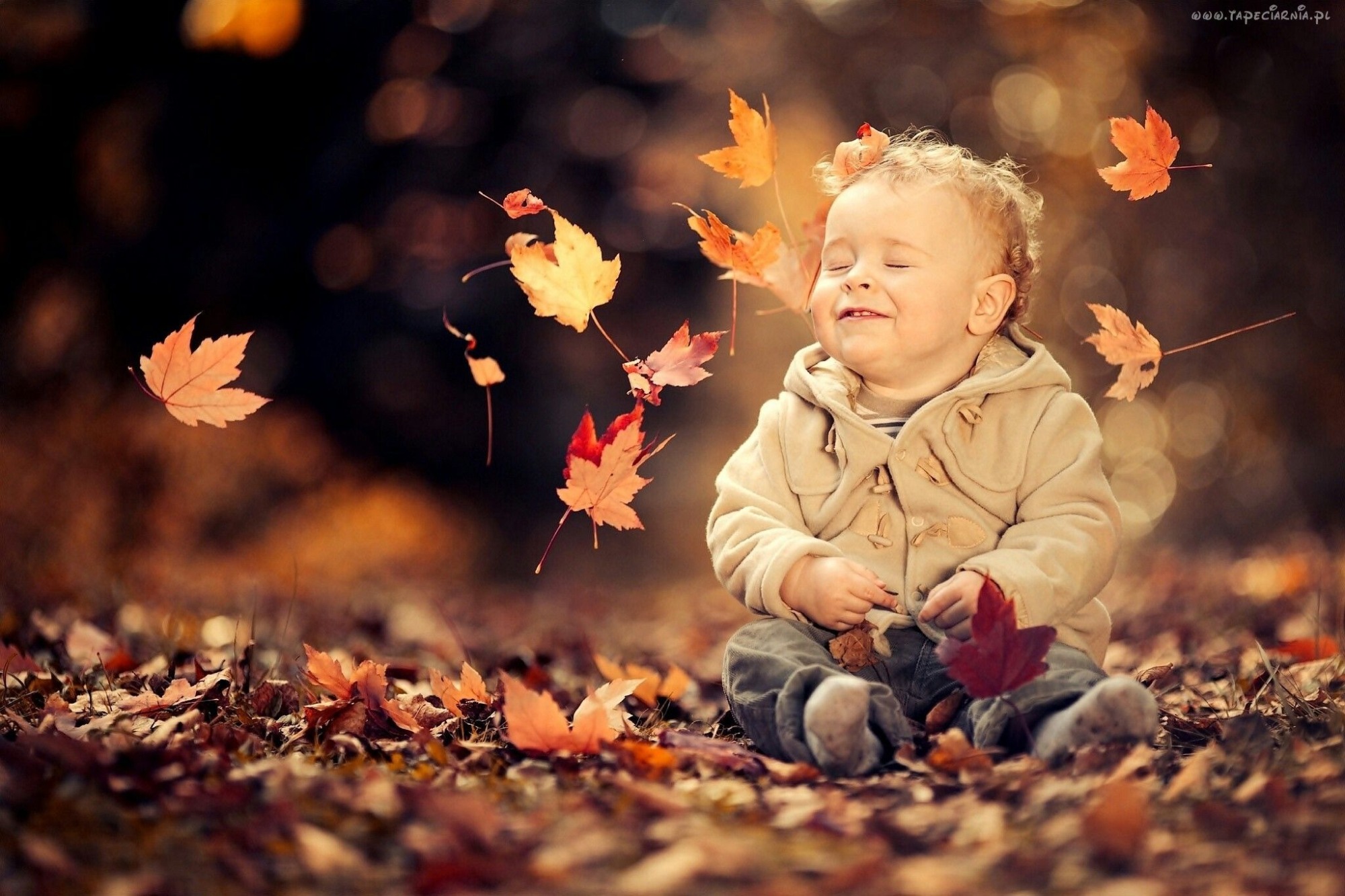 Иллюстрация к публикации