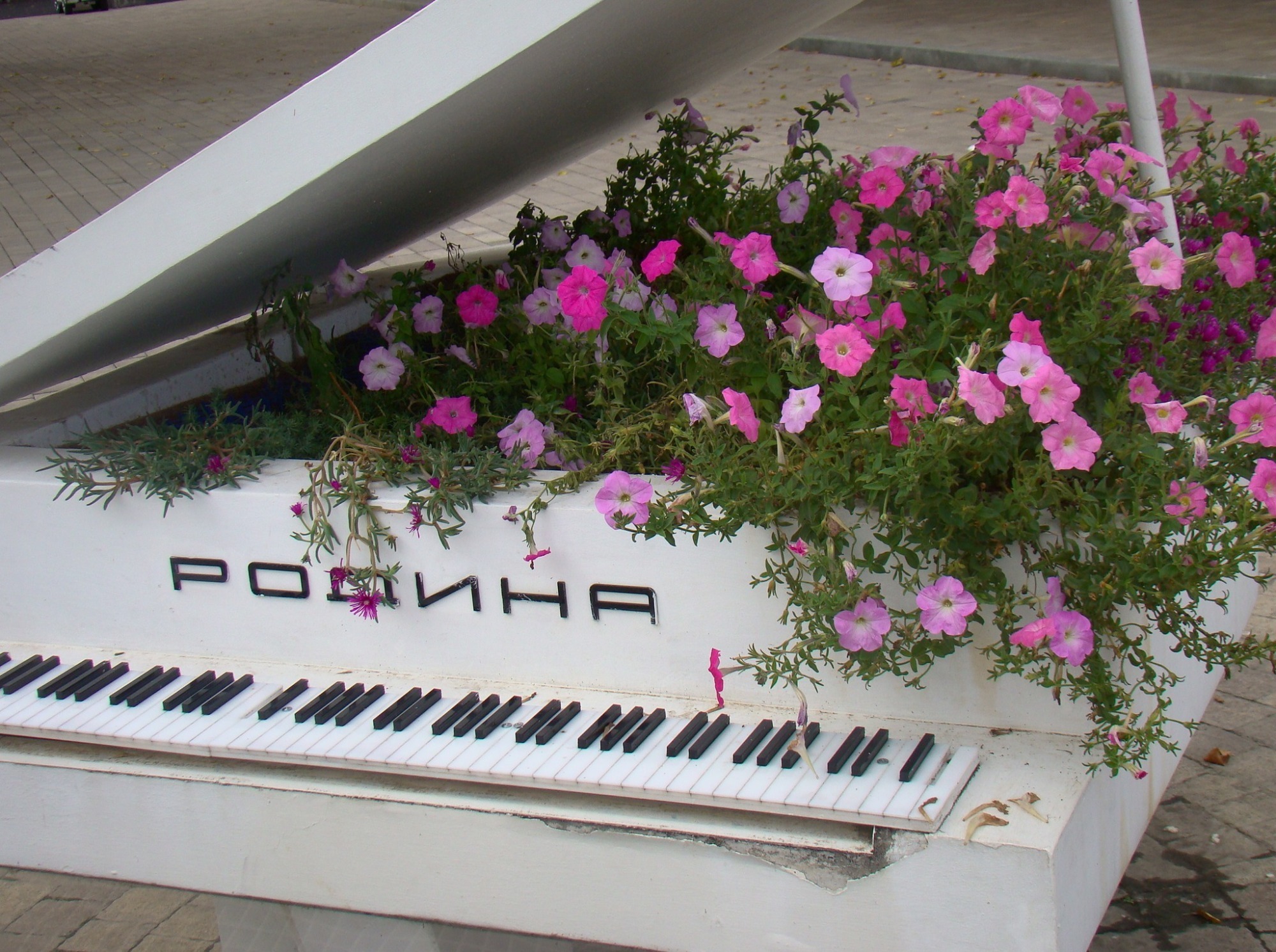 Иллюстрация к публикации