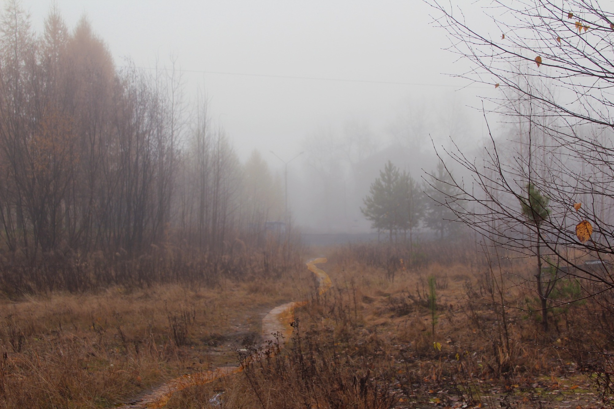 Иллюстрация к публикации