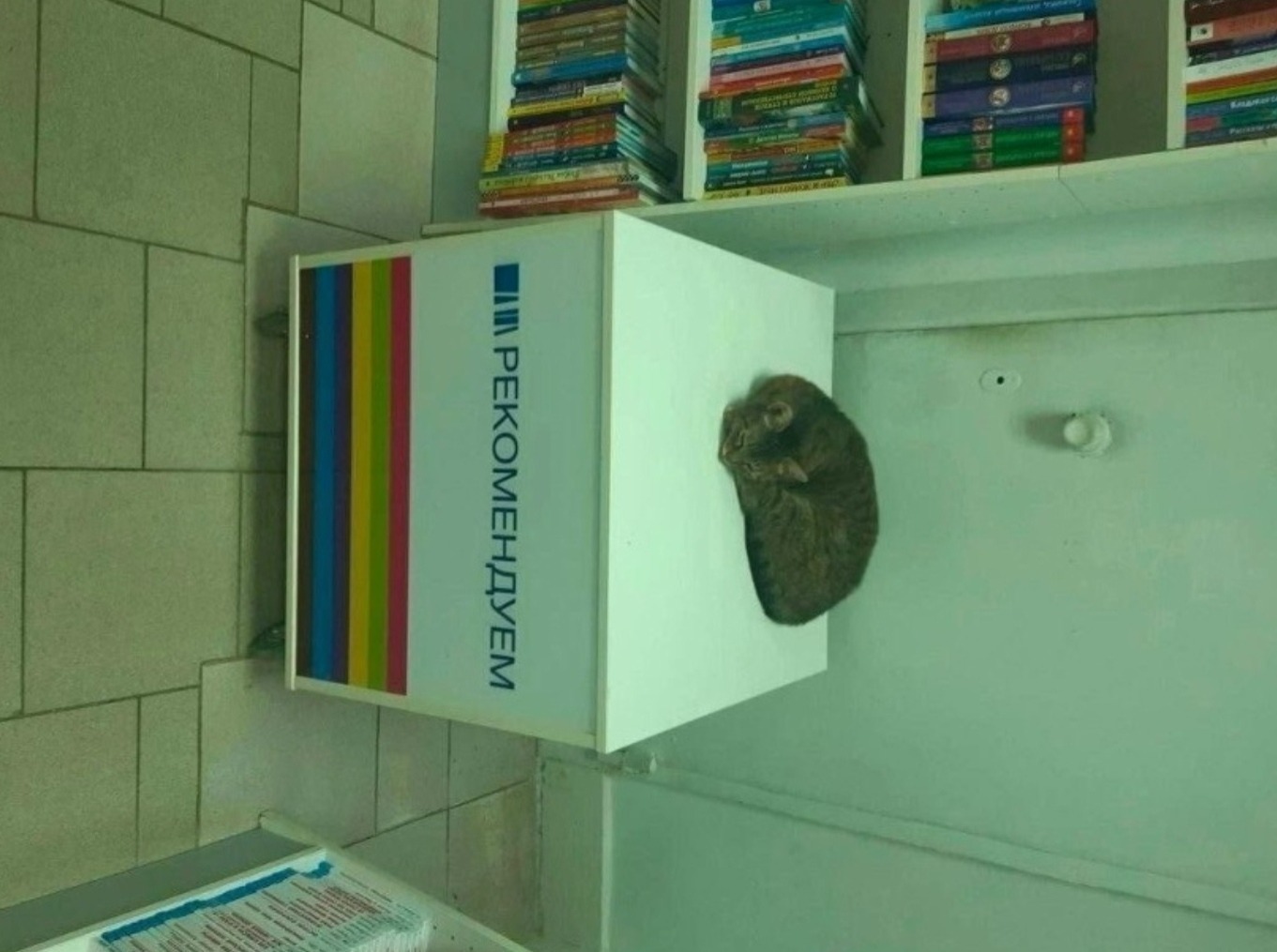 Иллюстрация к публикации