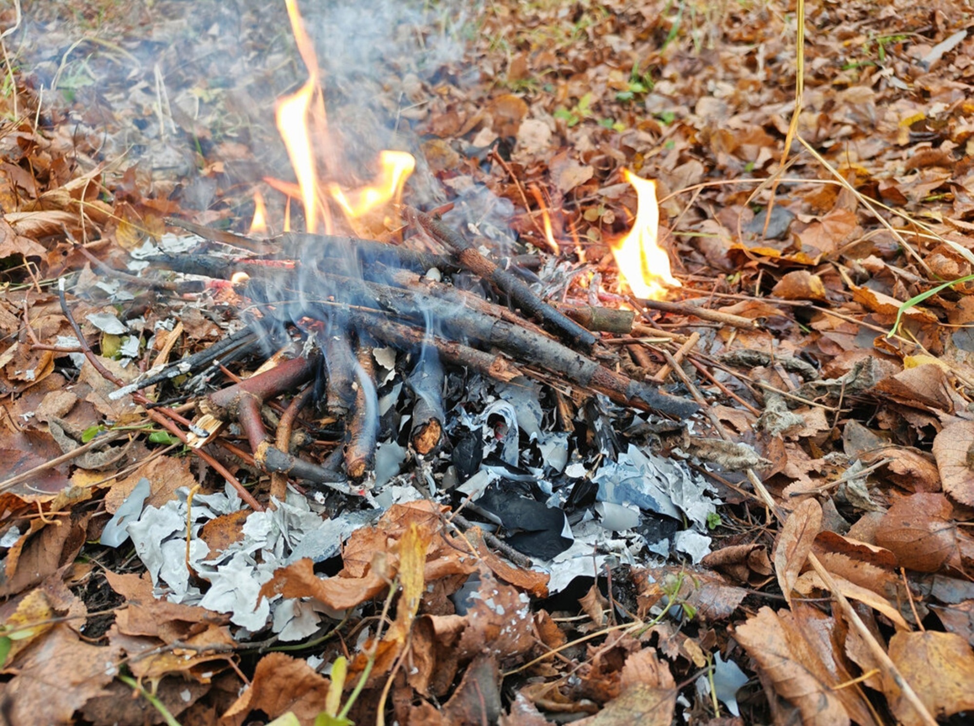 Иллюстрация к публикации