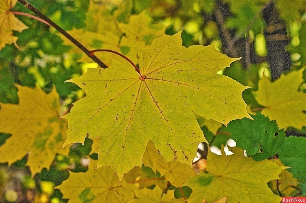 Иллюстрация к публикации