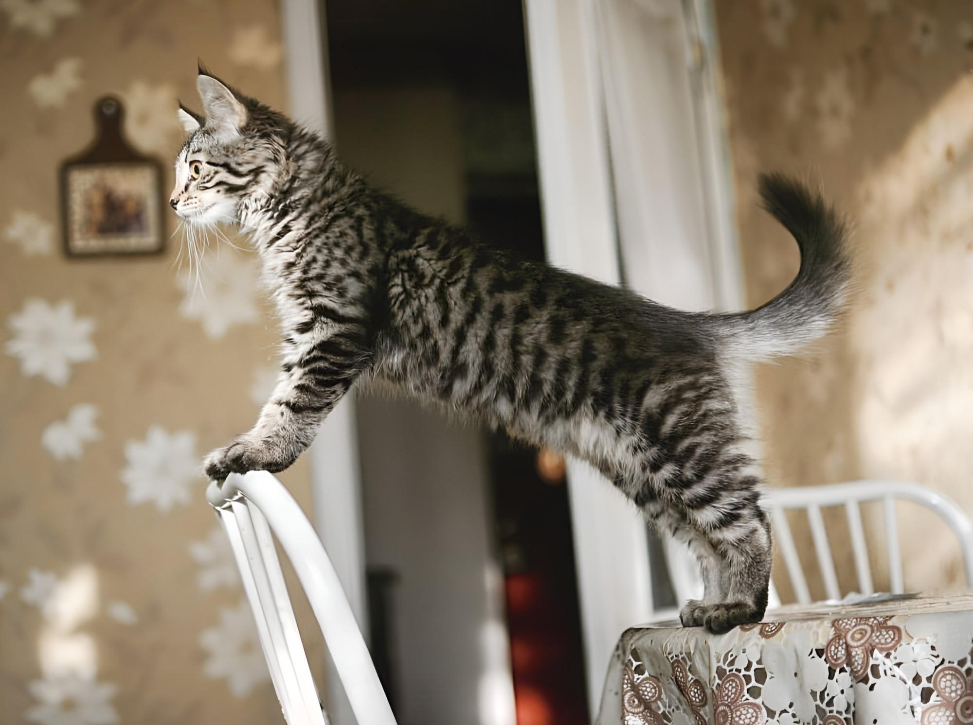 Иллюстрация к публикации