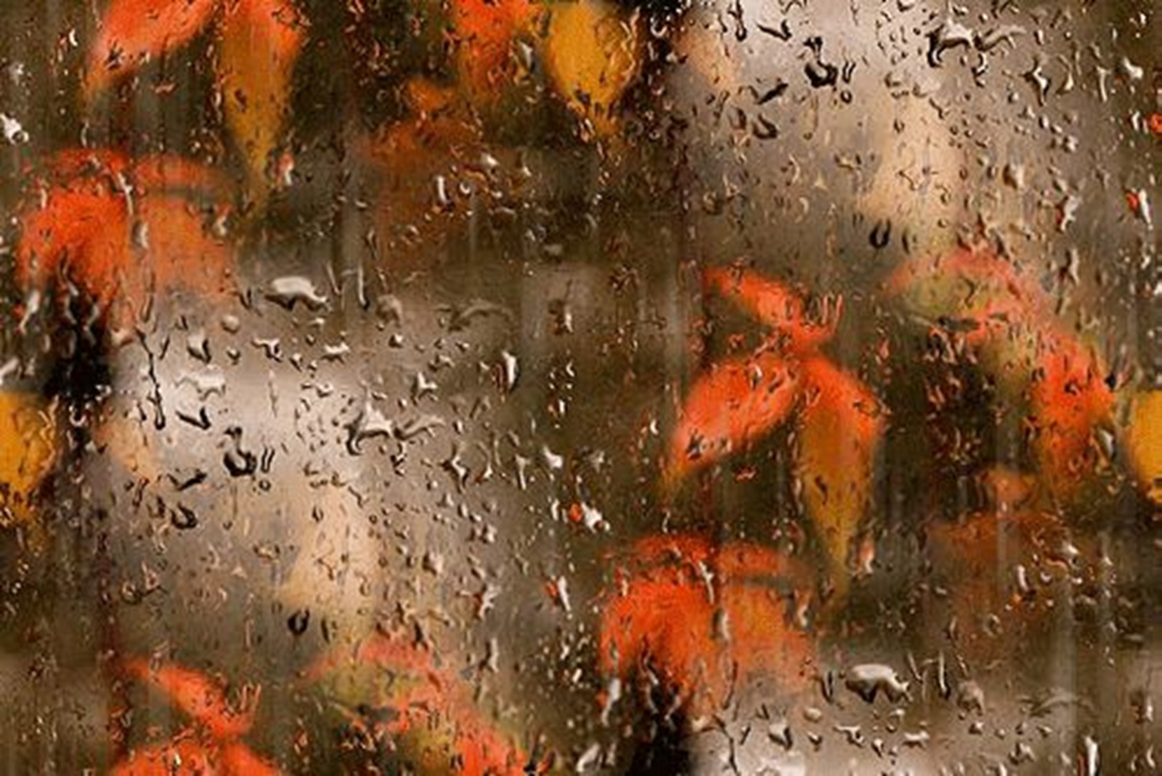 Иллюстрация к публикации