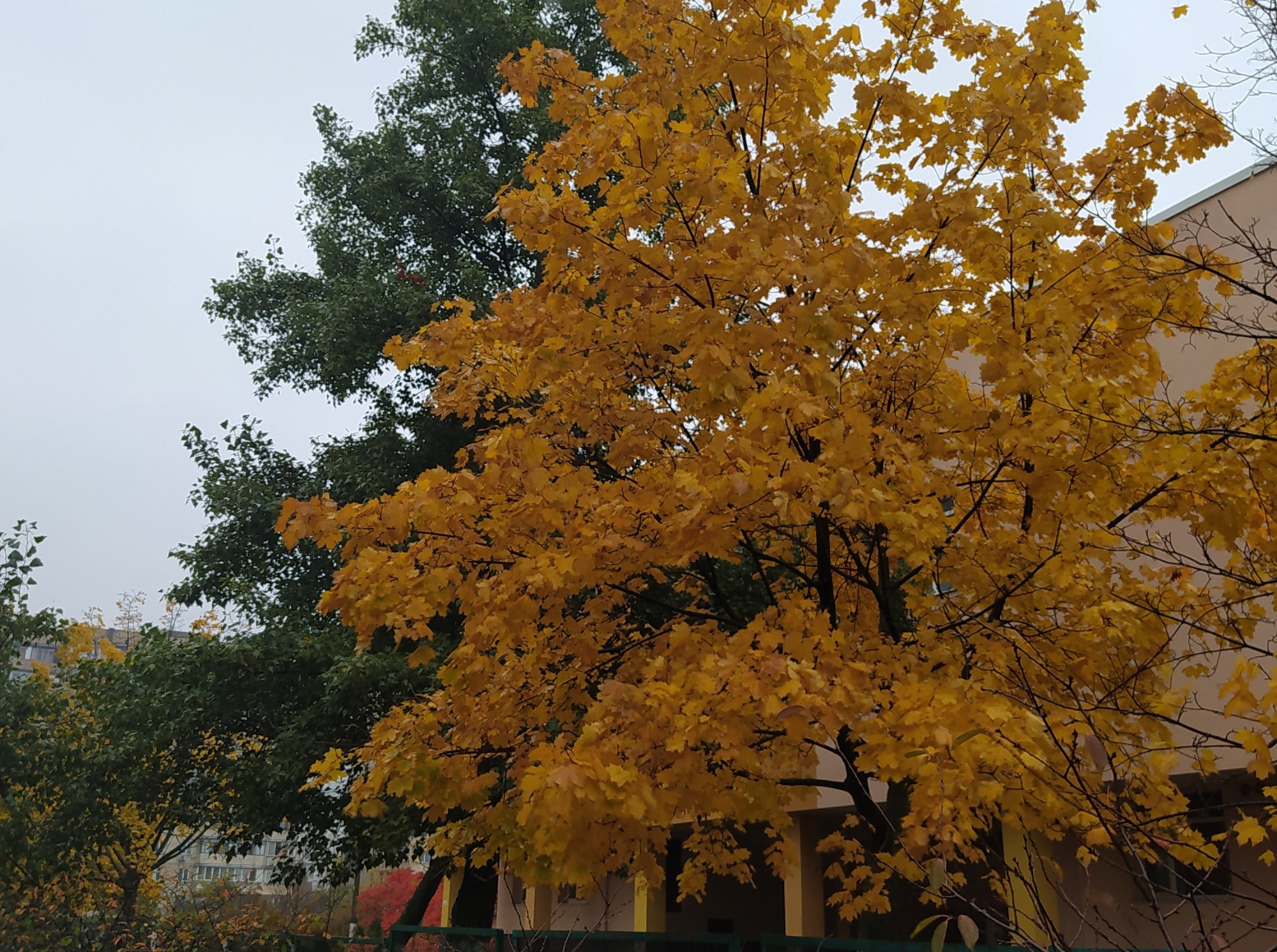 Иллюстрация к публикации