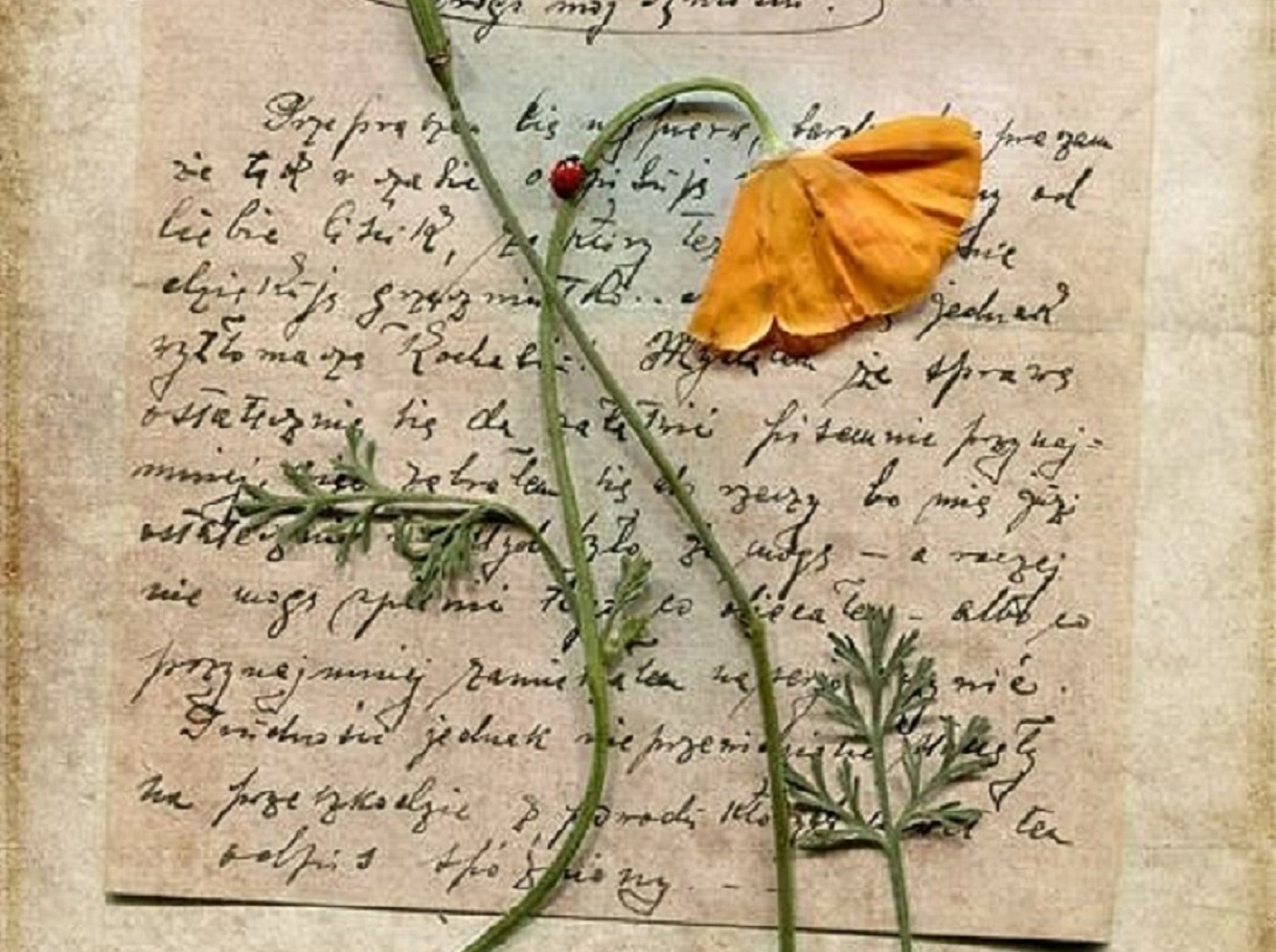 Иллюстрация к публикации