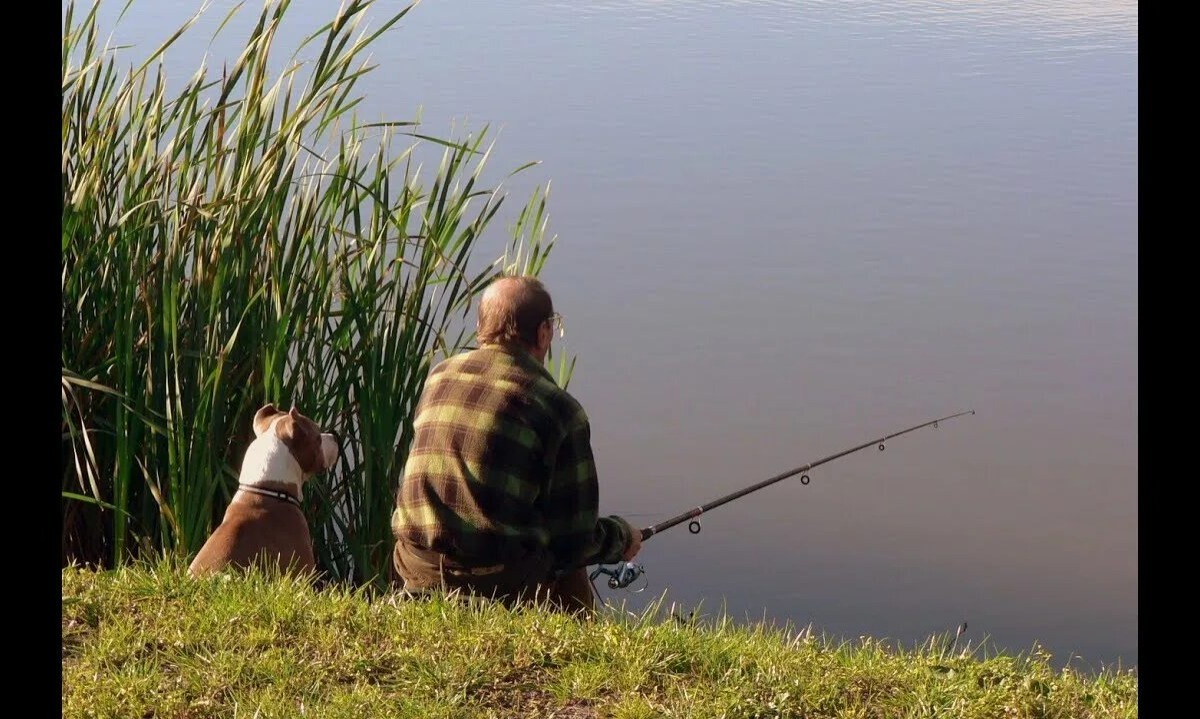 Иллюстрация к публикации