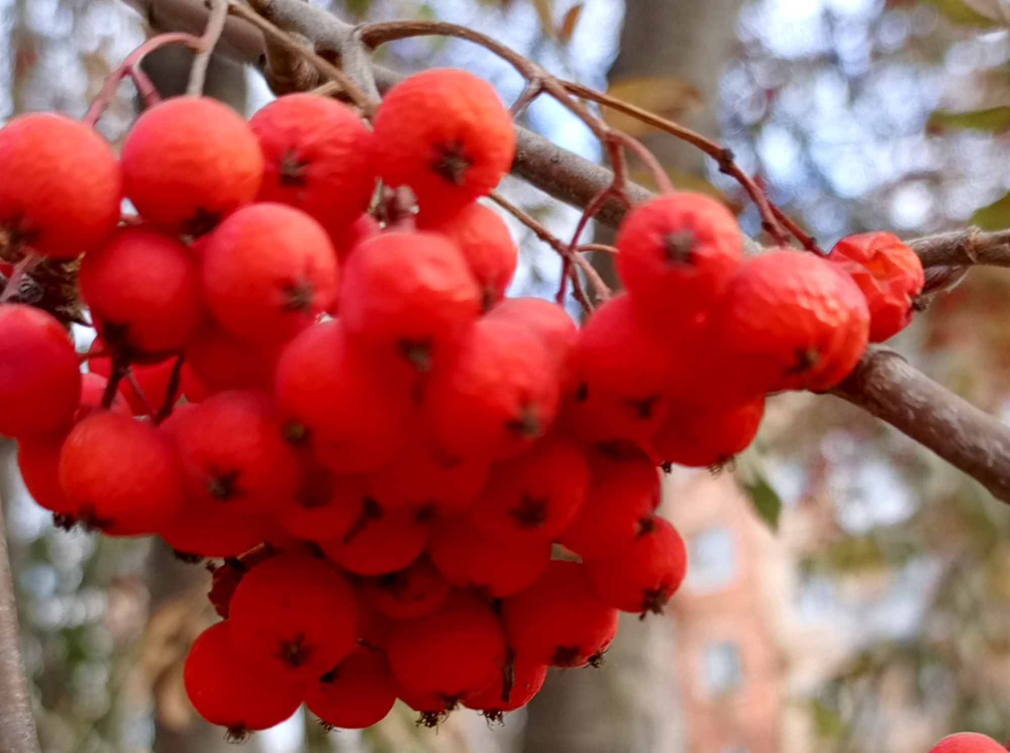 Иллюстрация к публикации